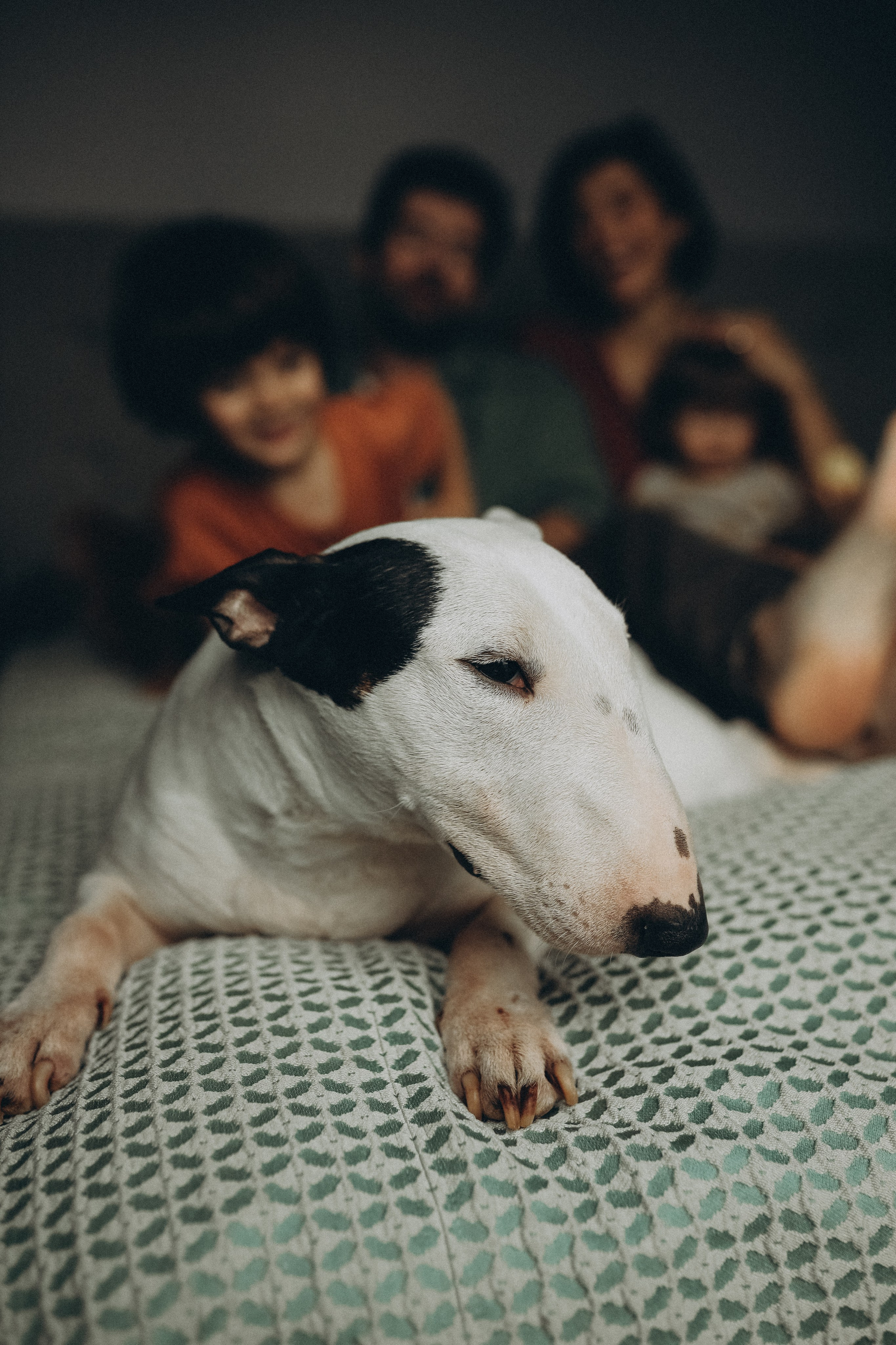 Один день дома. Семейный и детский фотограф в Москве Анастасия Меликова