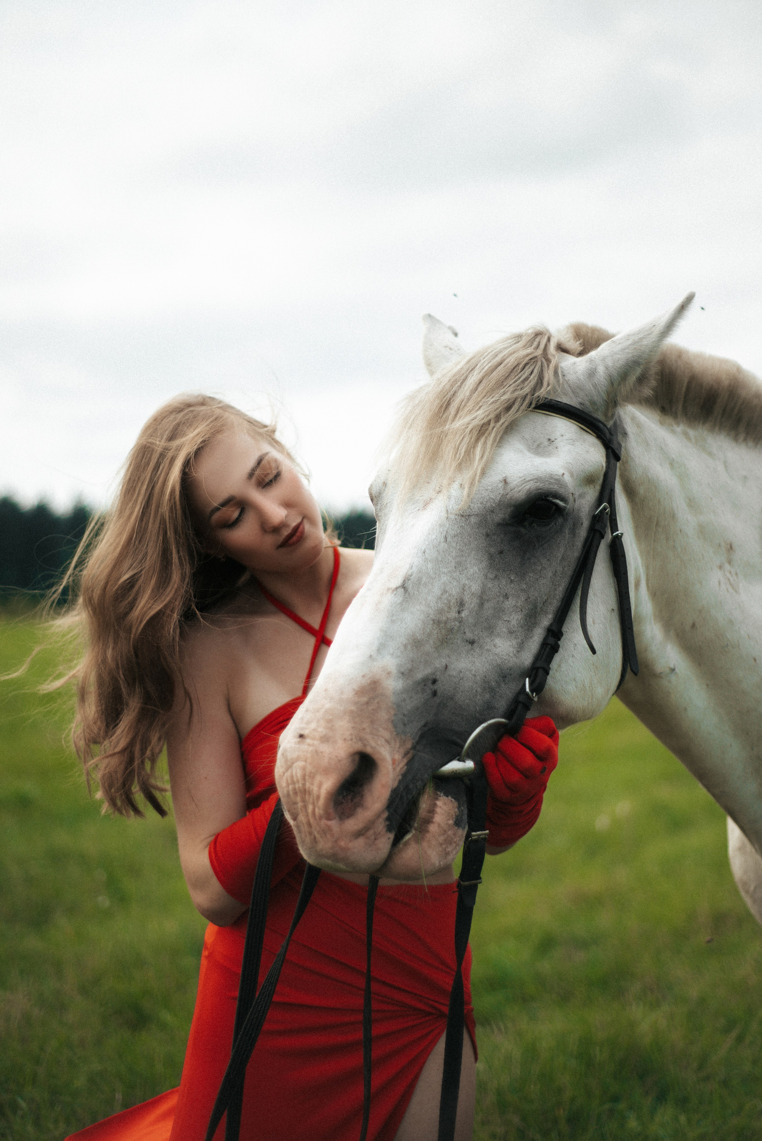 Horse. Фотограф