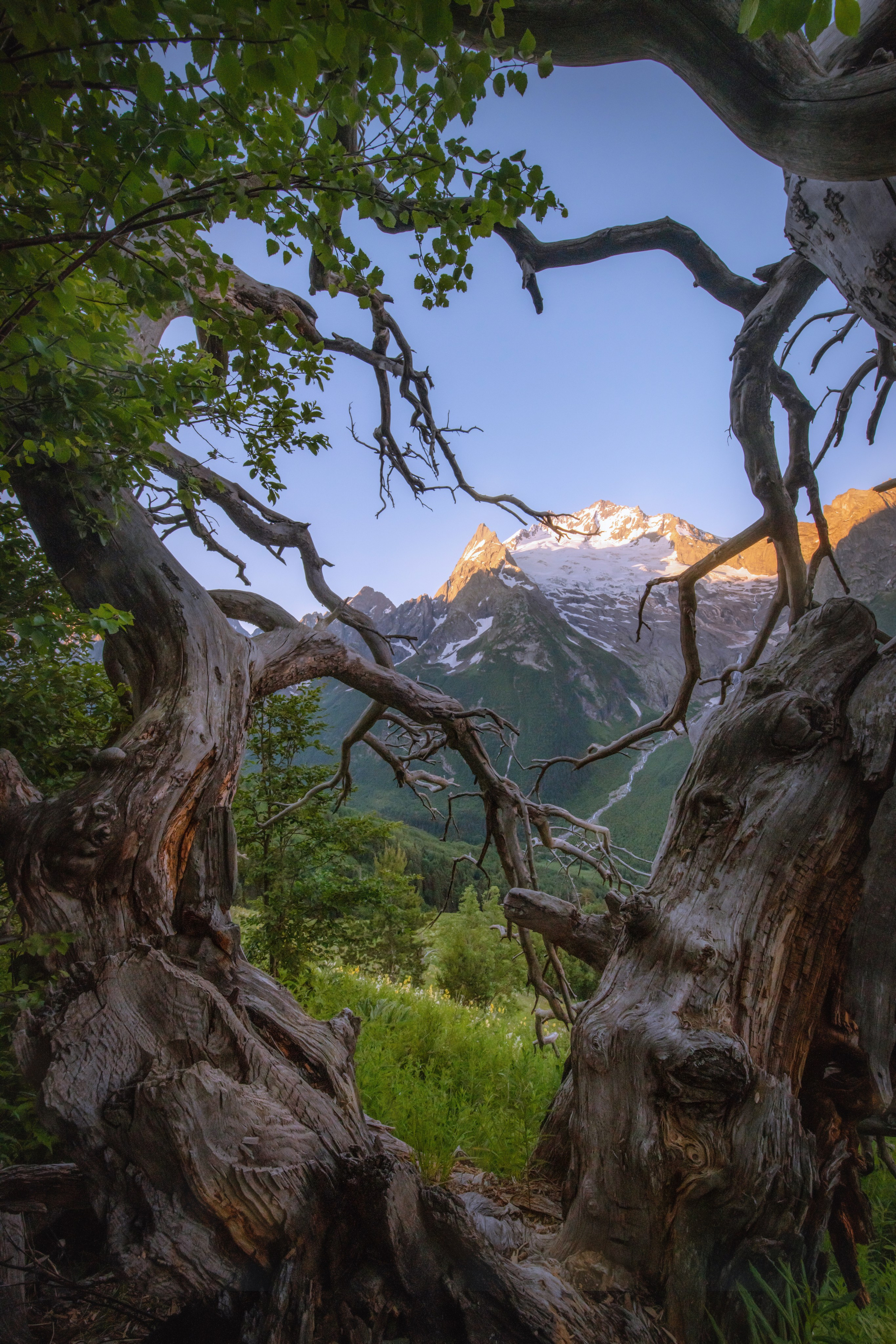 Пейзажи. Пейзажный фотограф Ермолина Елена