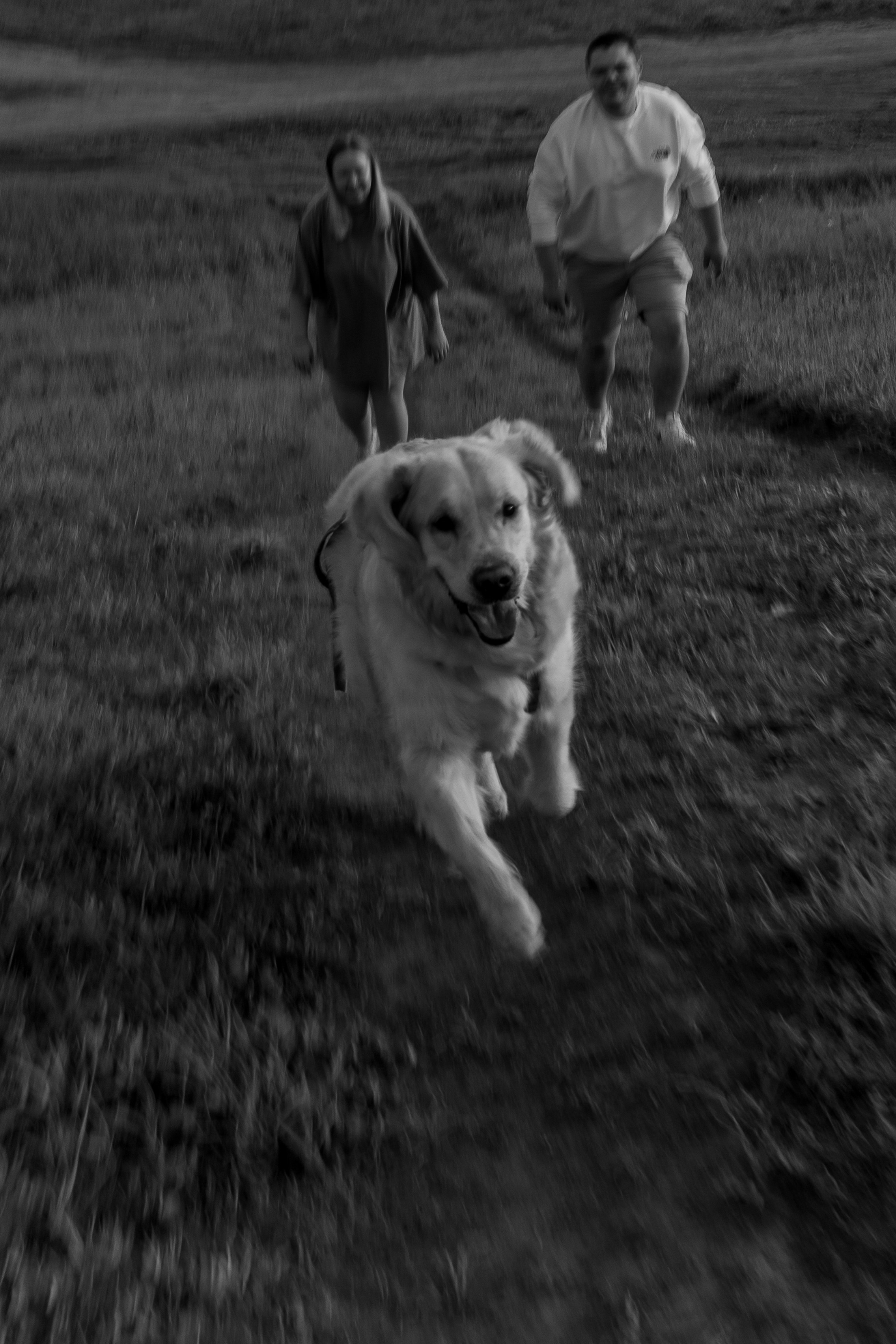 Милка и ребята. Фотограф — Анималист | Санкт-Петербург