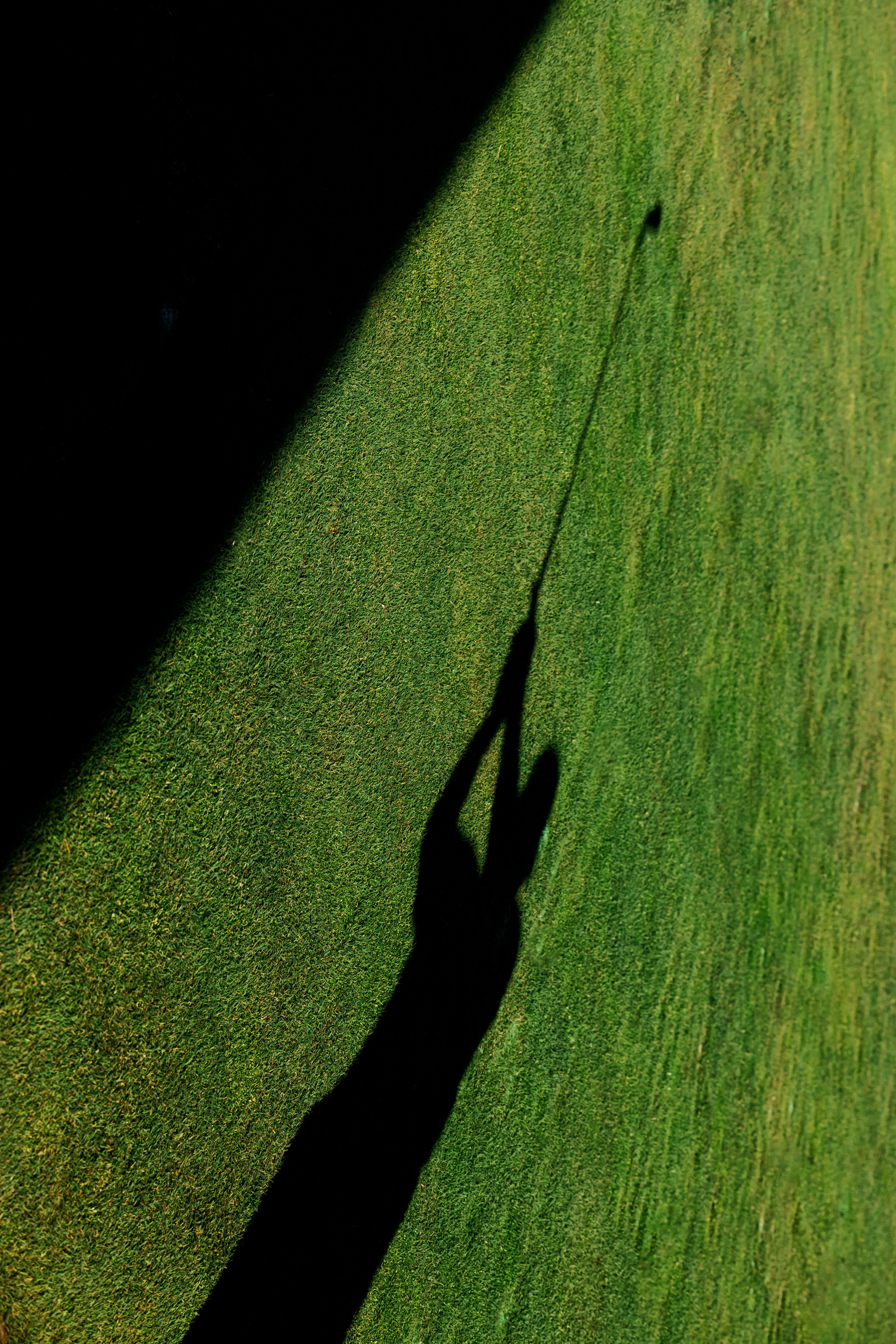 Semyon Borisov — Reportage. Репортажный фотограф Семён Борисов | Москва