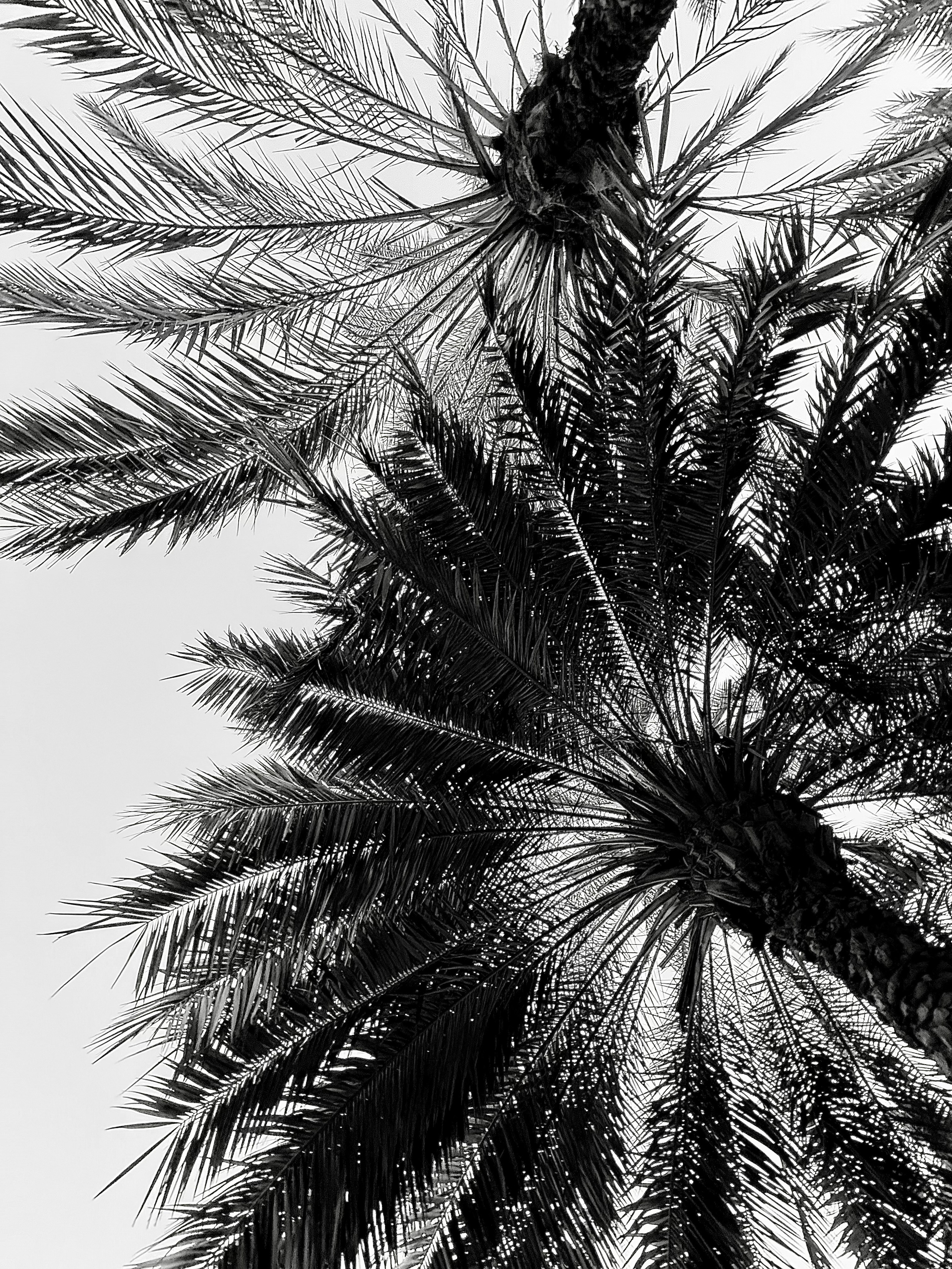 Фотограф Москва. Фотограф и художник в Москве Евгения Нюнина