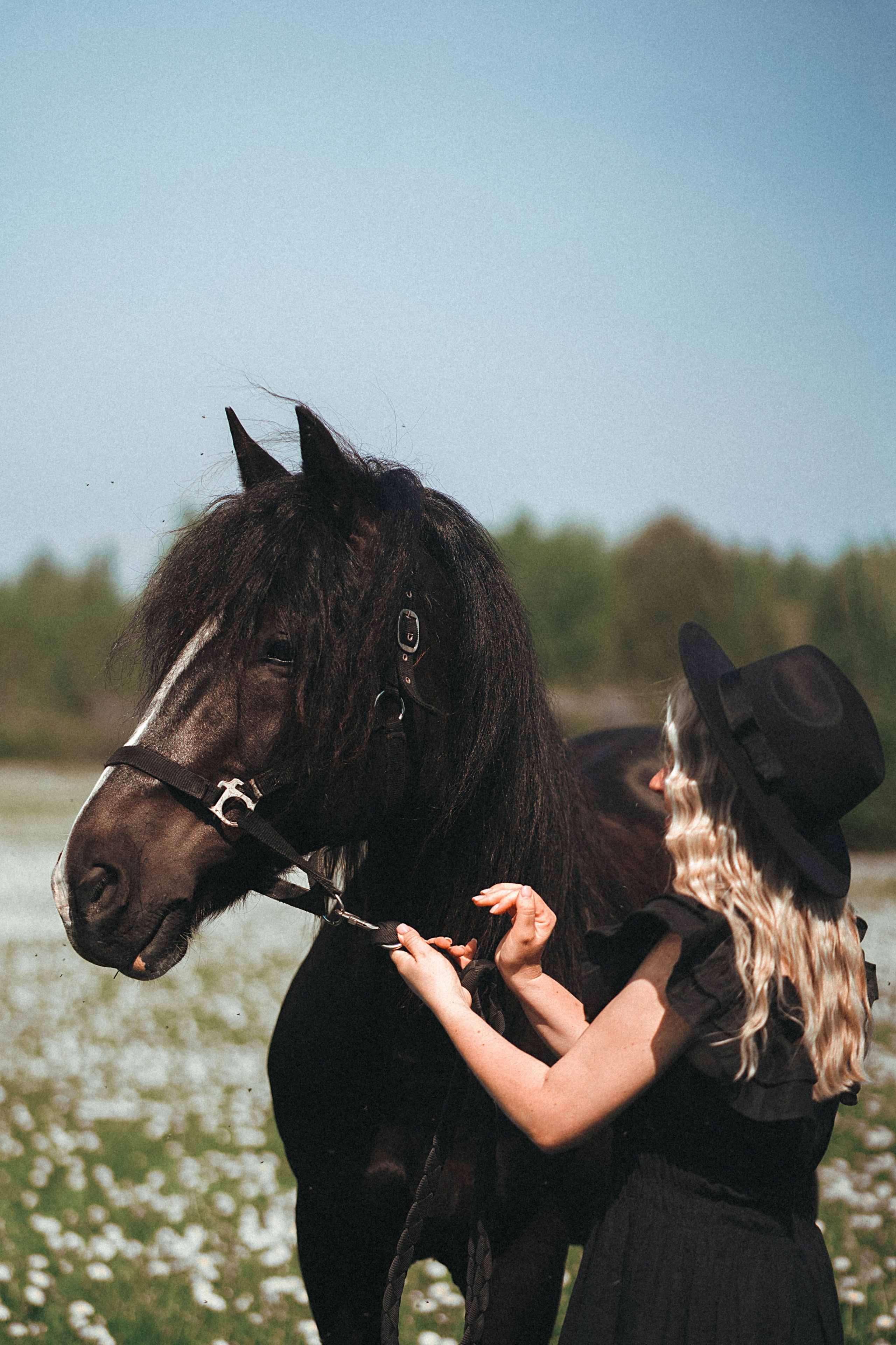 Конные. Главная