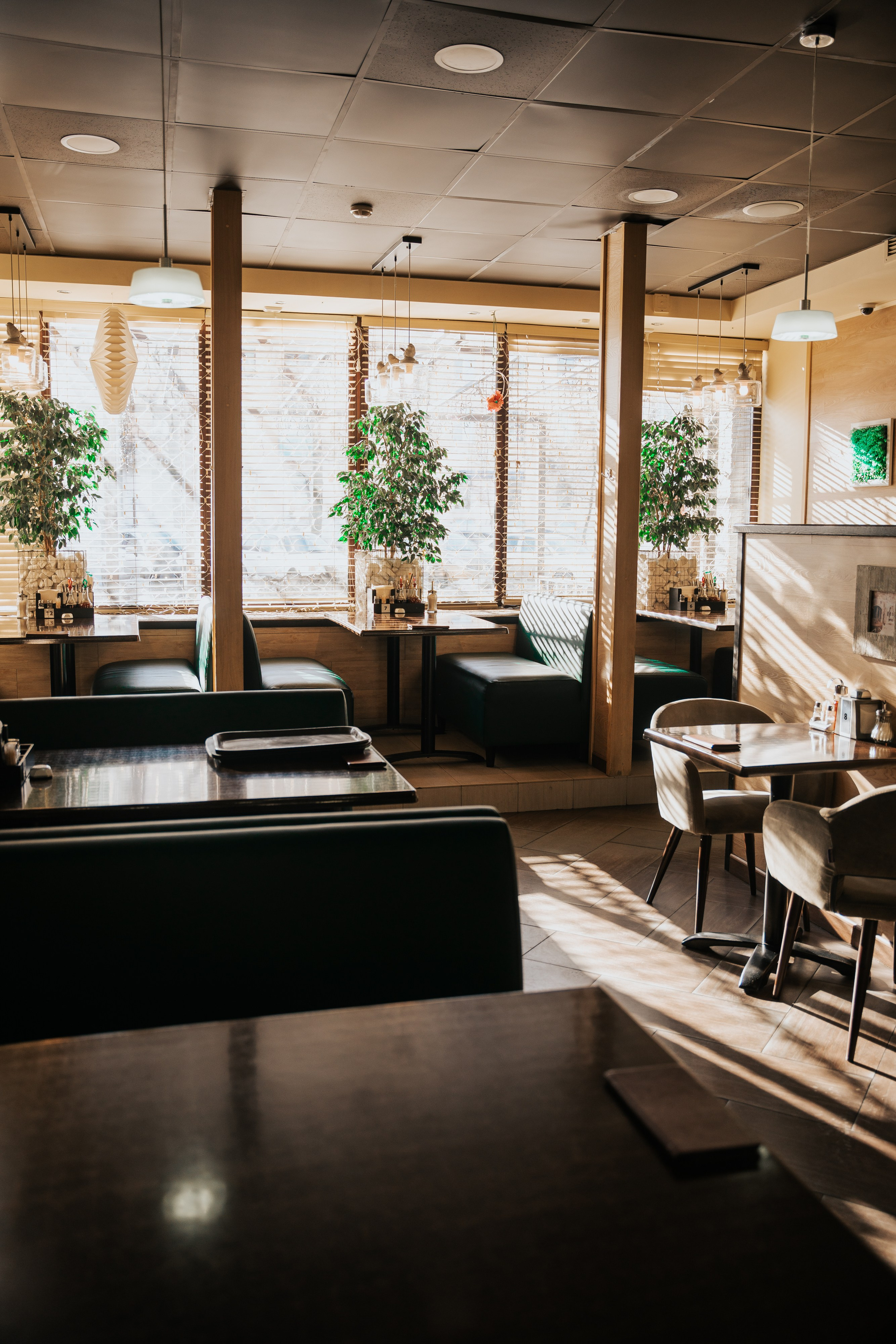 Синьор Помидор. Фотограф Хабаровск