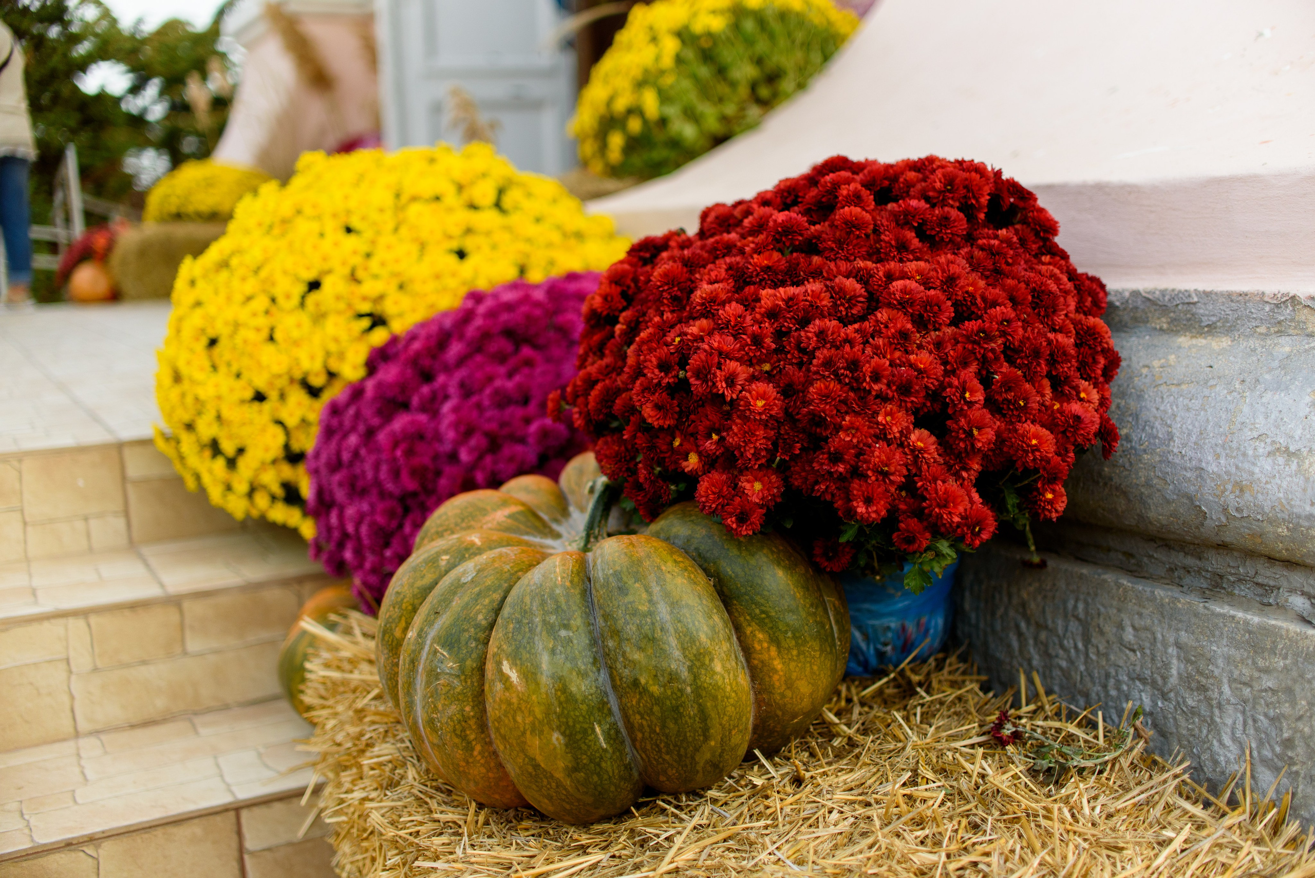 День памяти Казанской иконы Божьей Матери 4.11.2023. Семейный и свадебный фотограф в Феодосии и Коктебеле