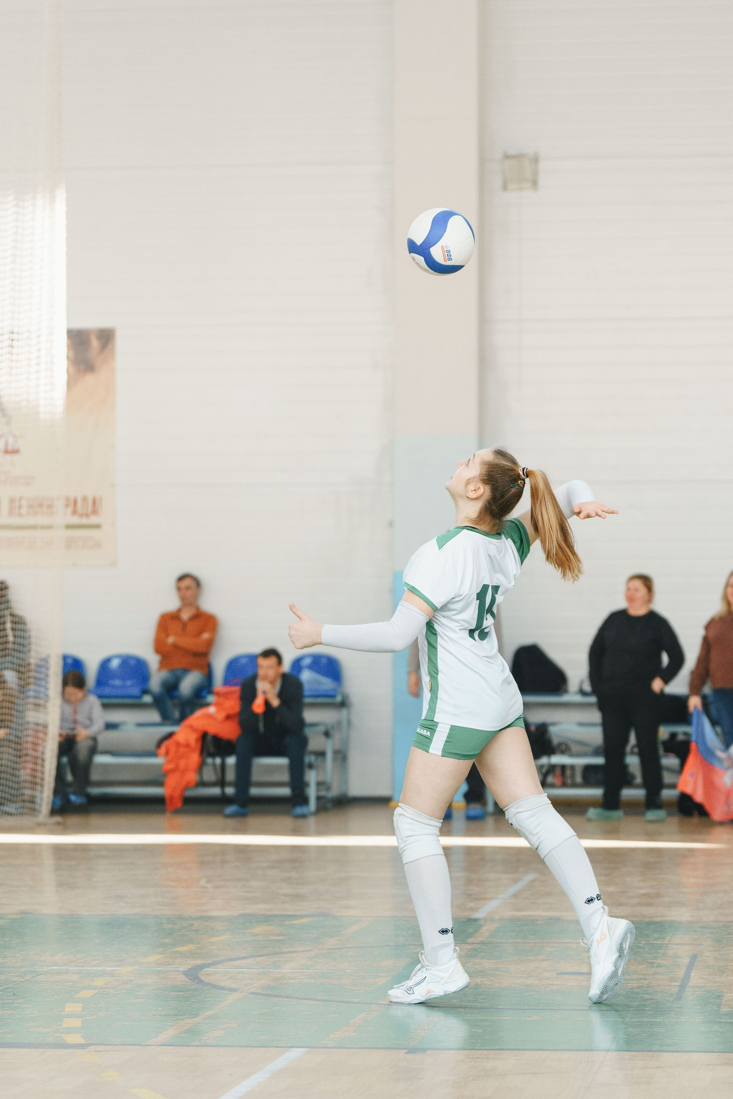Волейбол торус. Фотограф-анималист в Санкт-Петербурге