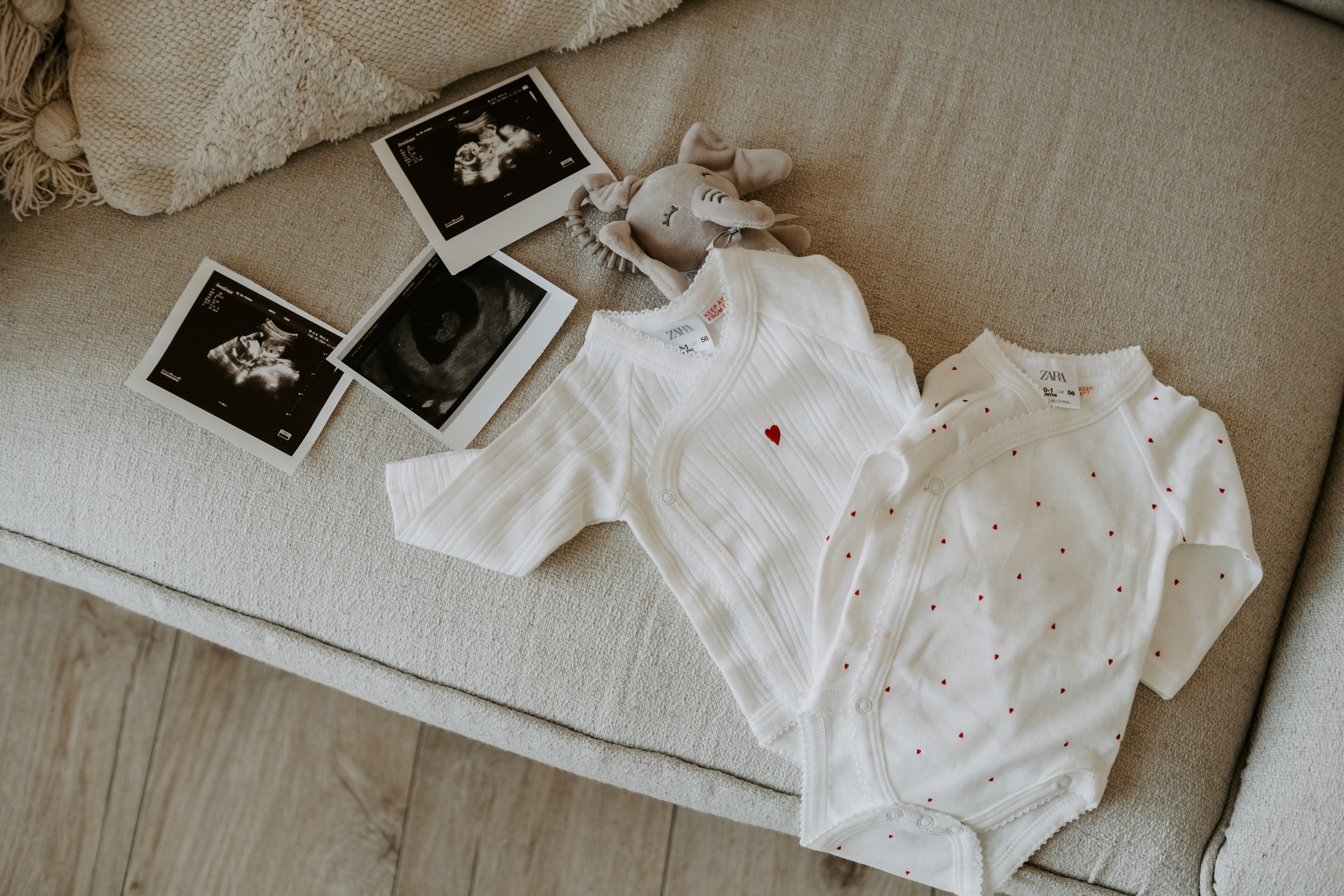 Фотосессия беременности с собакой. Семейный фотограф в Москве Кристина Маркос