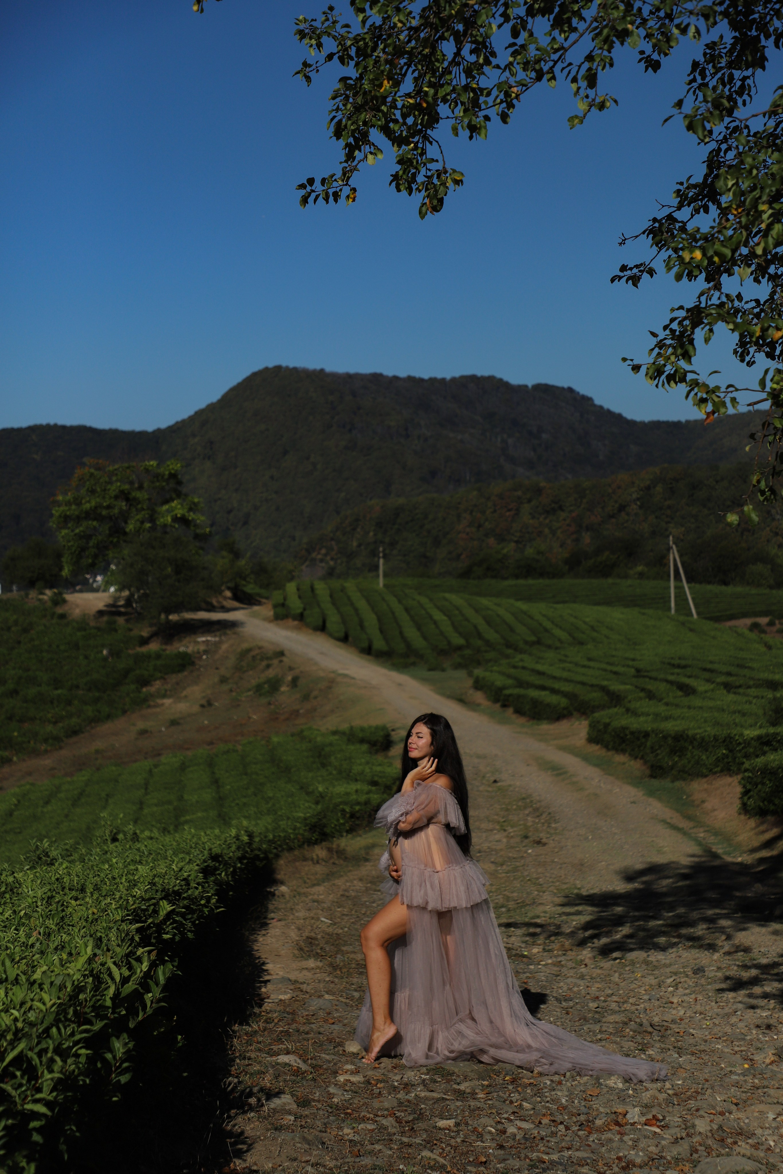 Беремняшка Мацеста чайные плантации 27.08. Главная