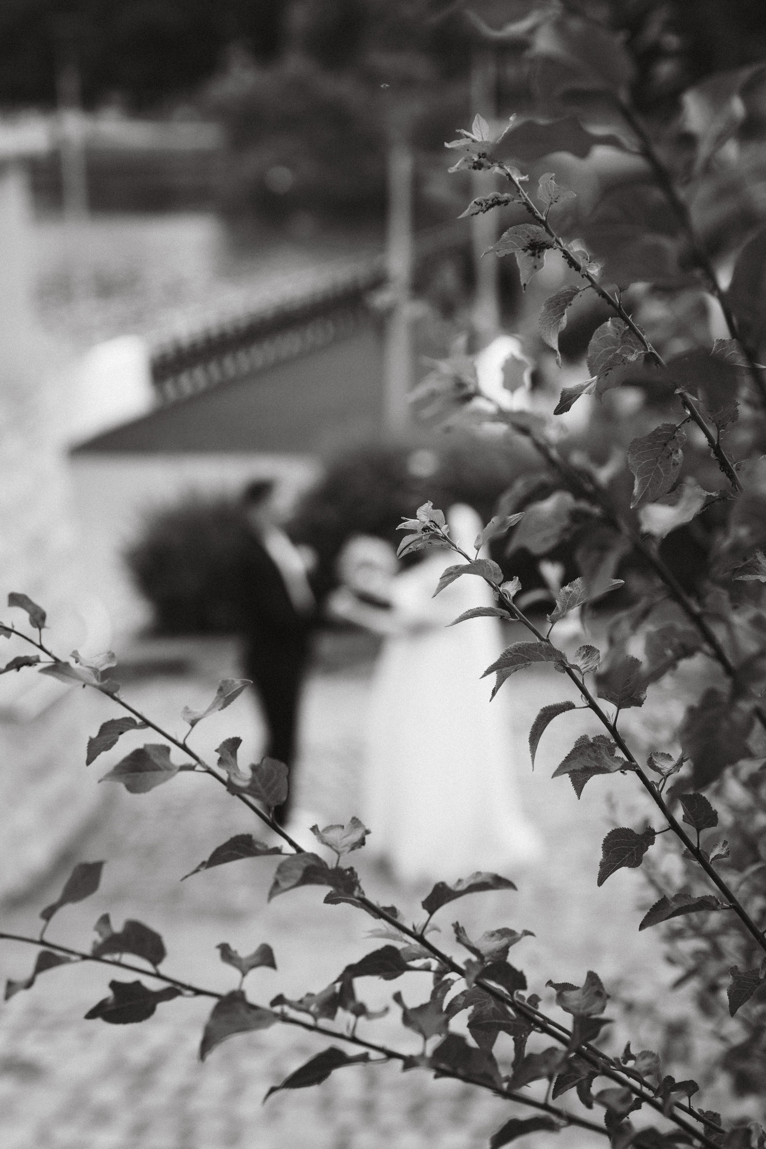 Михаил и Елена. Фотограф Калининград Илья Миллер