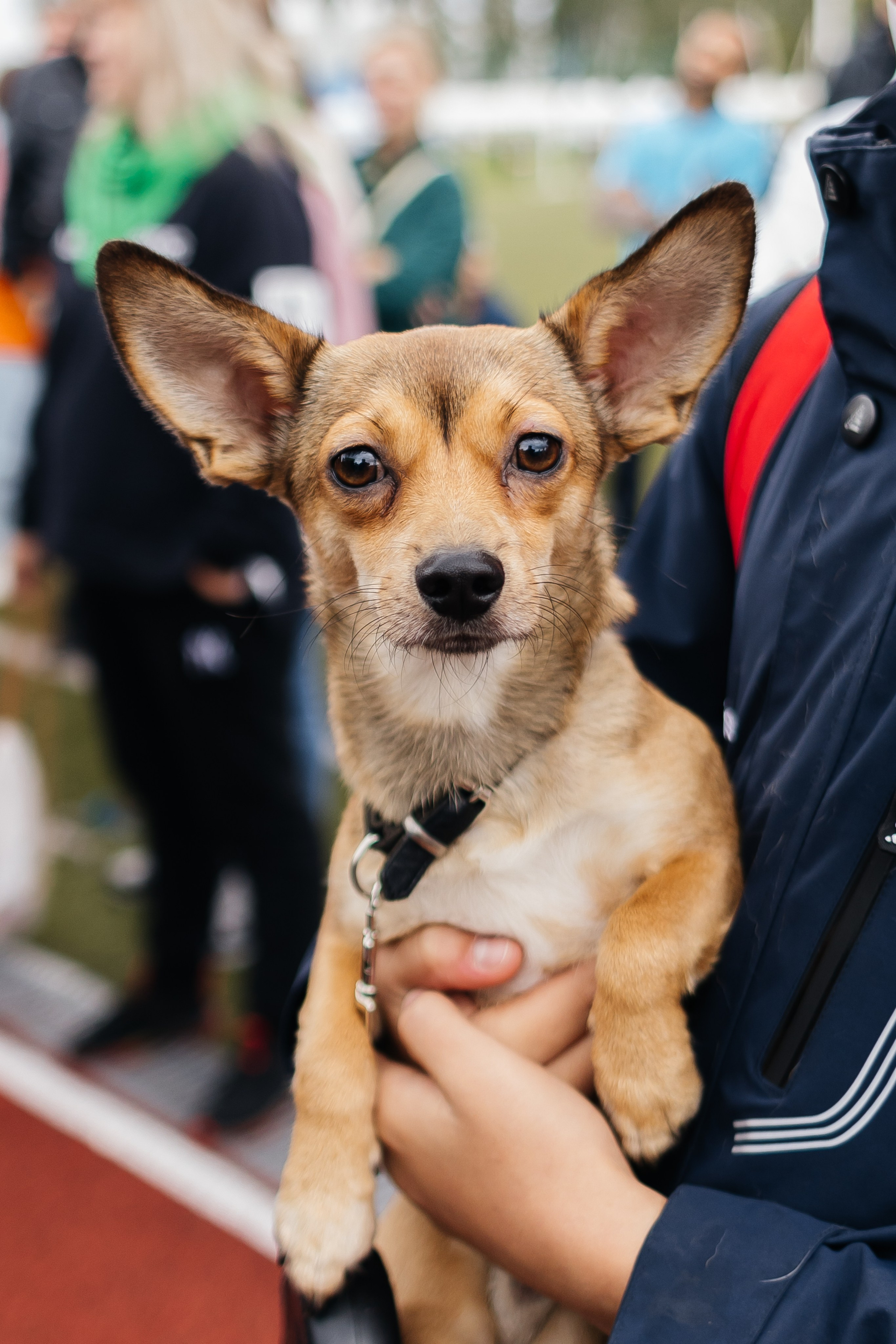 Спартакиада Волковгрупп. Фотограф Кемерово | Сергей