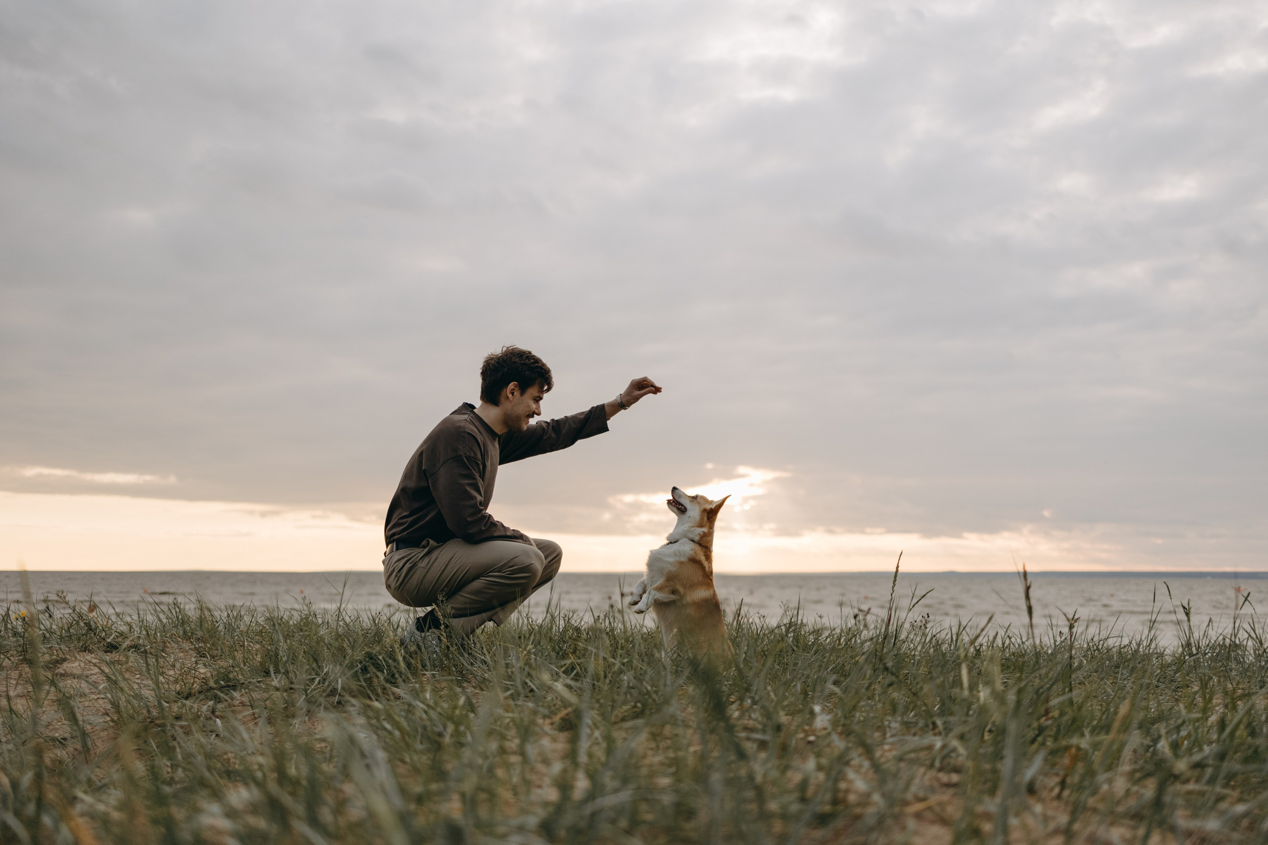 Лотти и ее семья. Фотограф — Анималист | Санкт-Петербург