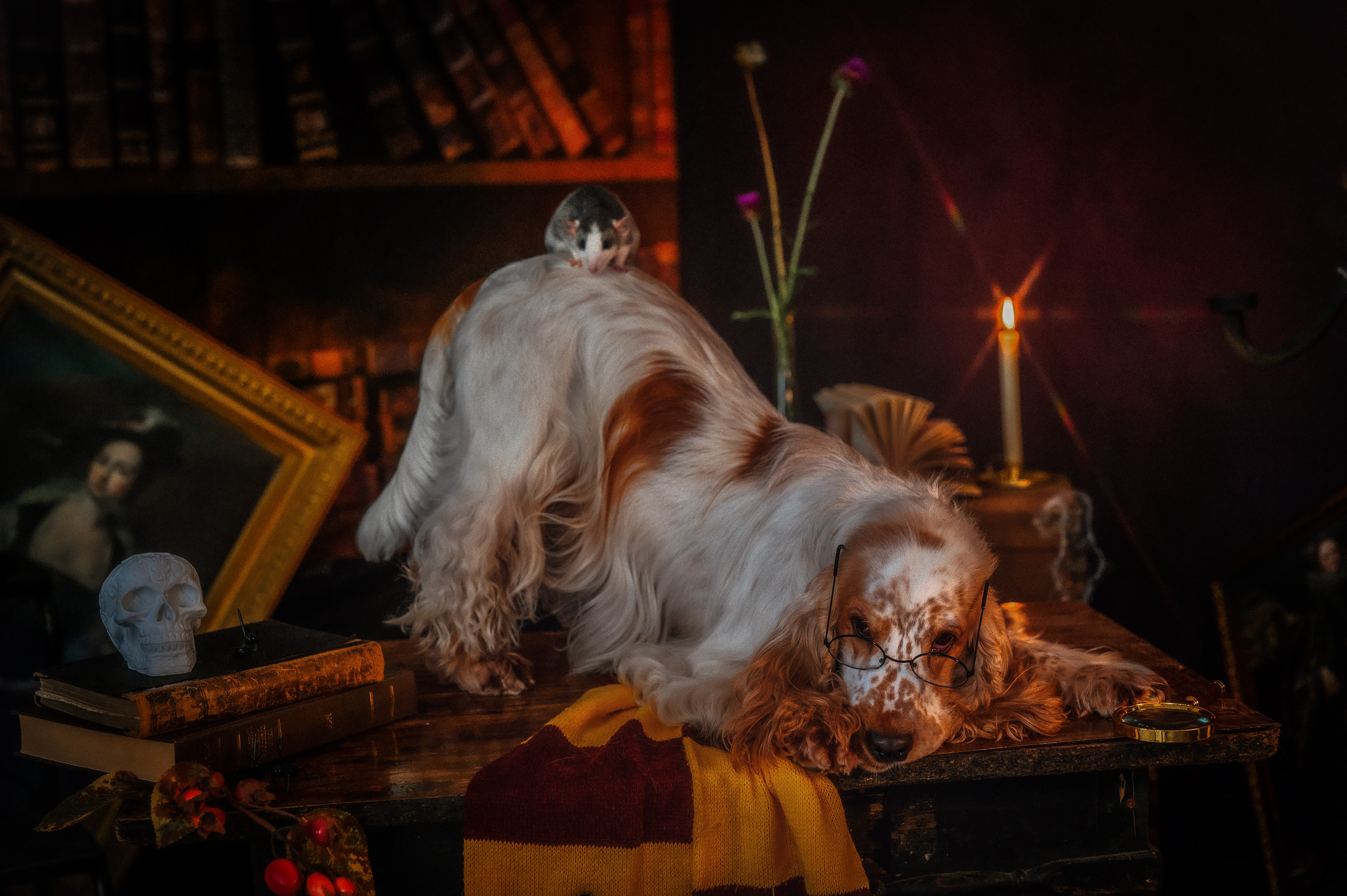 ЧЕДДЕР и ЛЁНЯ. Семейный и детский фотограф в Канске и Канском р-не, Красноярск и