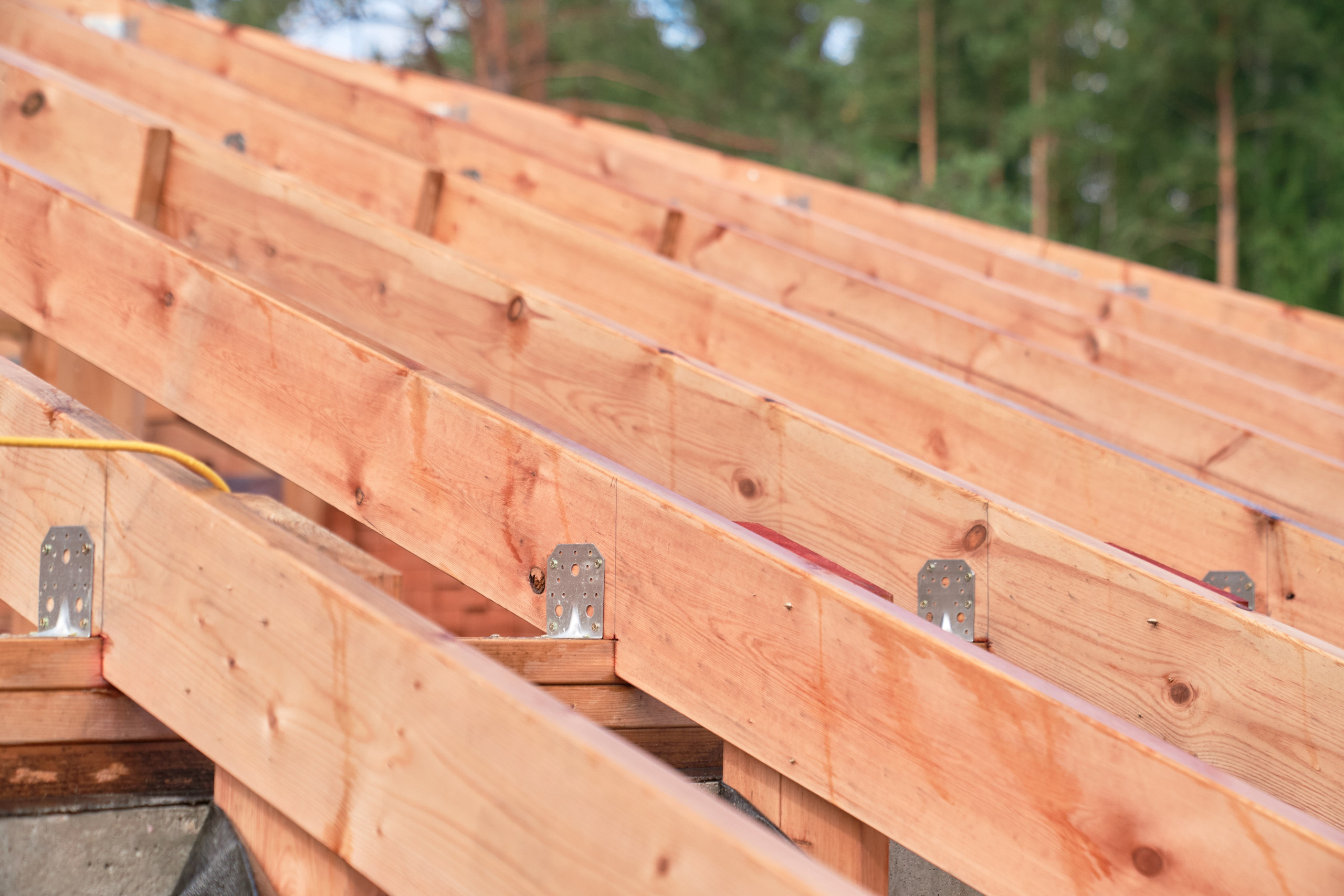 Объекты Охтинский парк. Сергей Горшенин — профессиональный фотограф