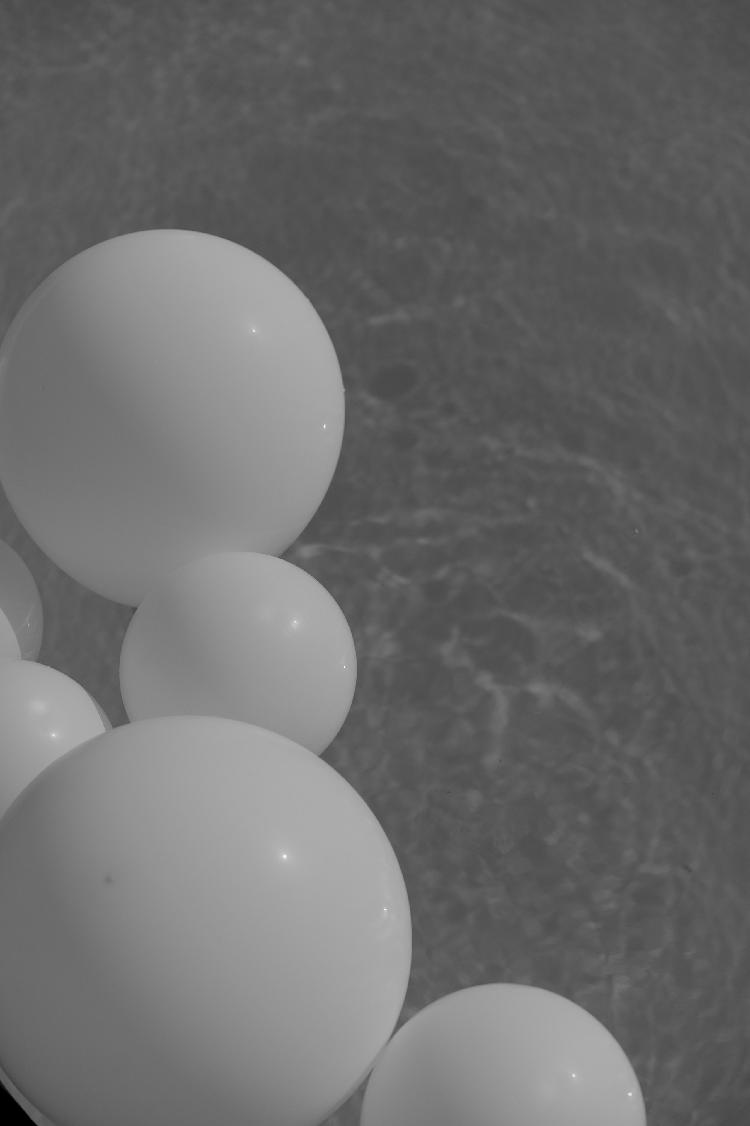 Вадим и Татьяна. Женский, семейный и свадебный фотограф в Астрахани Виктория Бузаева