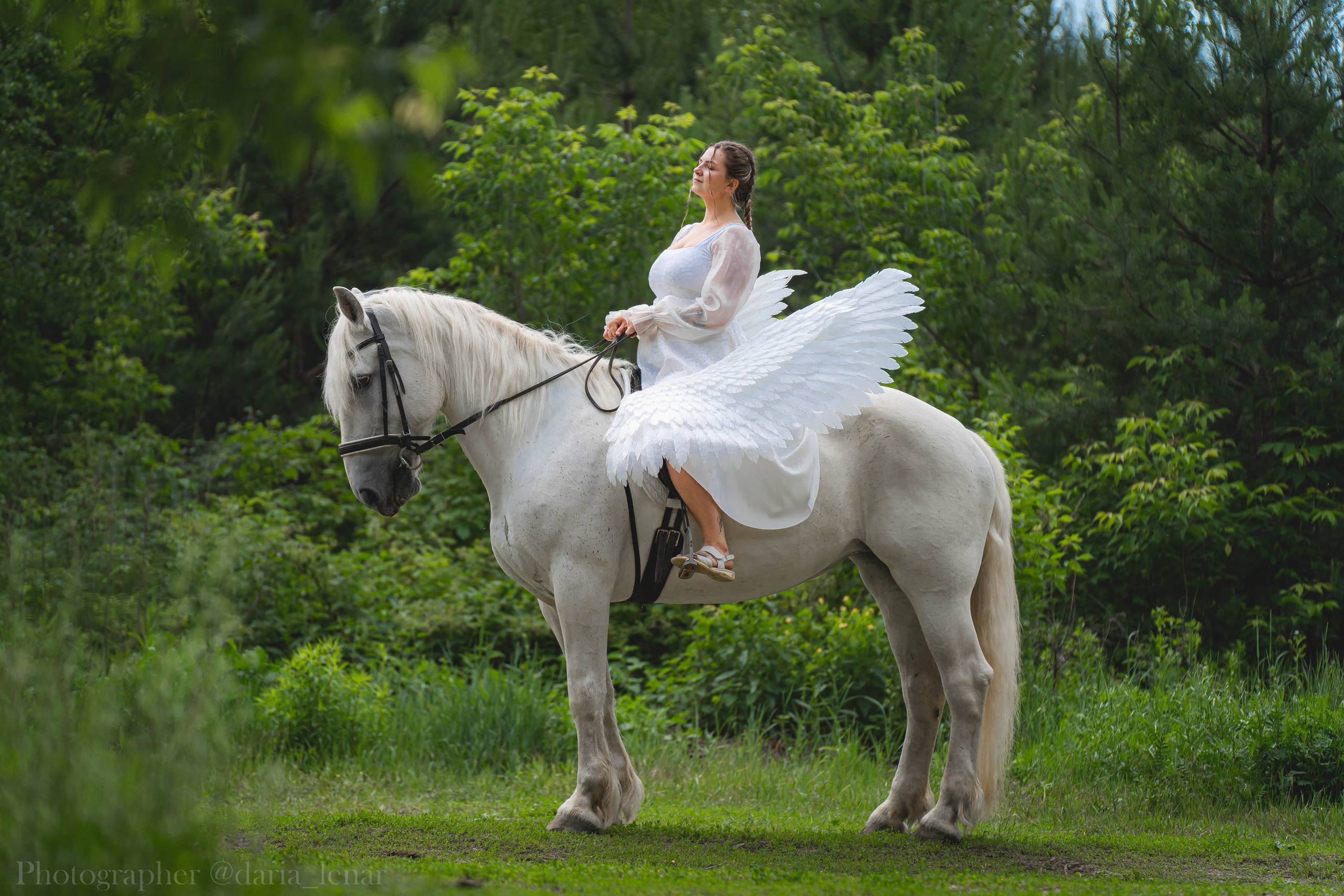 Анастасия и Персея. Фотограф в Москве Ленарская Дарья