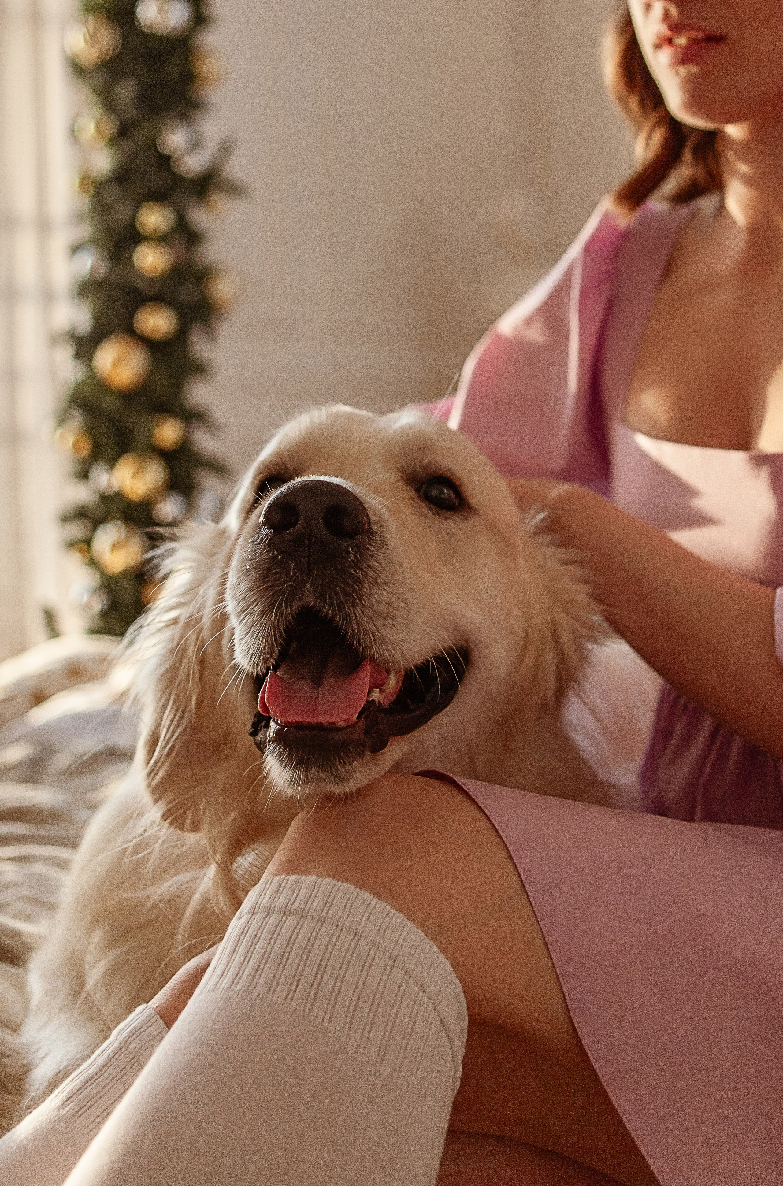 Владислава. Свадебный фотограф в СПБ | Санкт-Петербурге Анастасия Рахимгулова