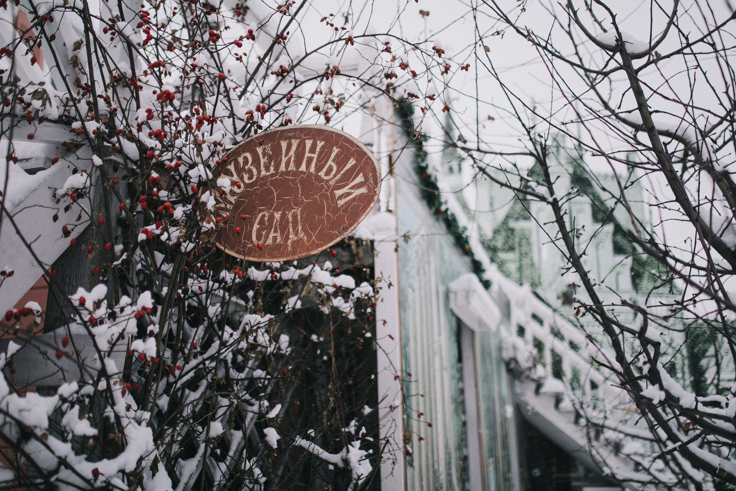 Алина и Ира. Фотограф София Комкина