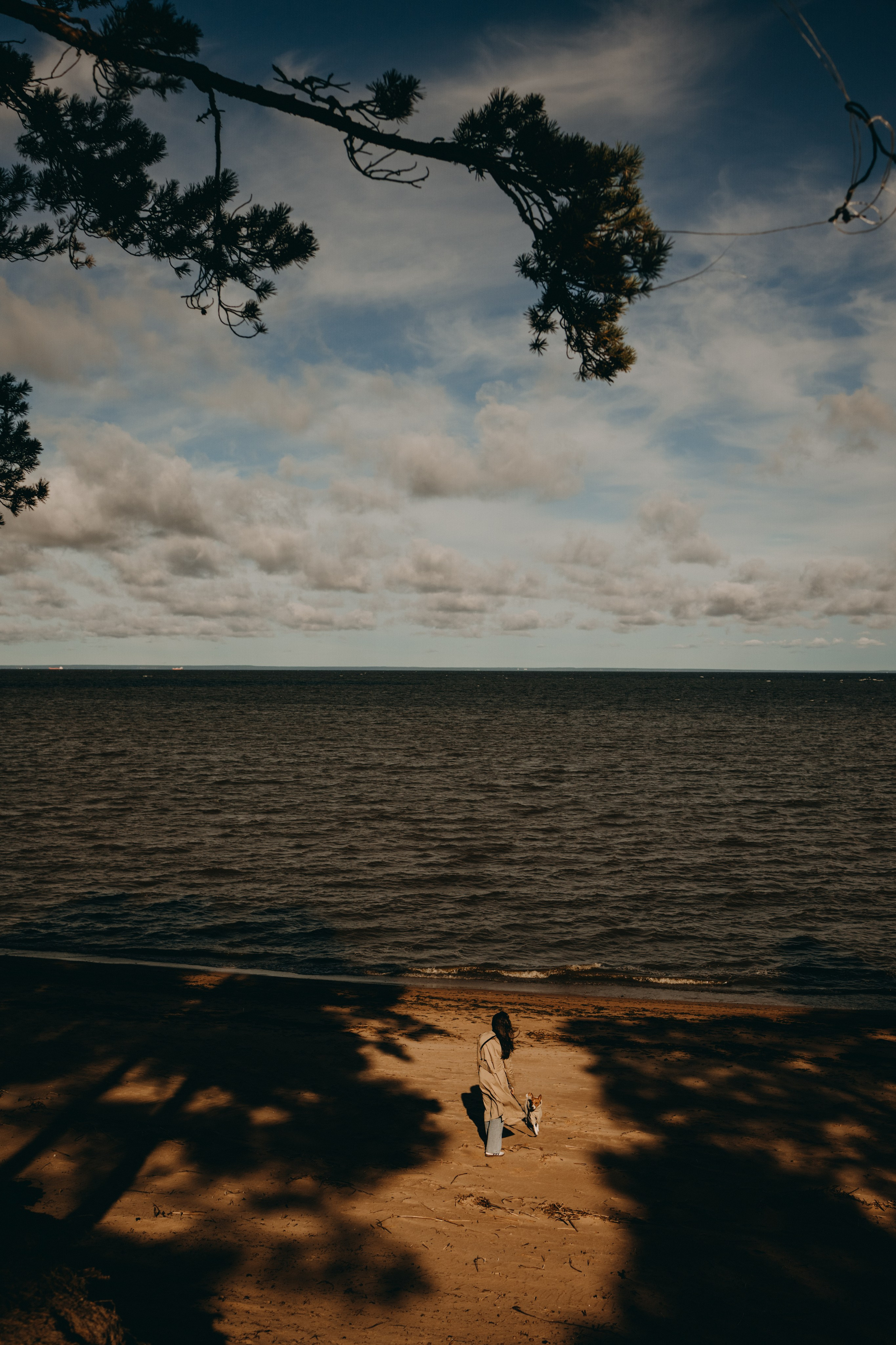 Алиса и Лео. Фотограф — Анималист | Санкт-Петербург