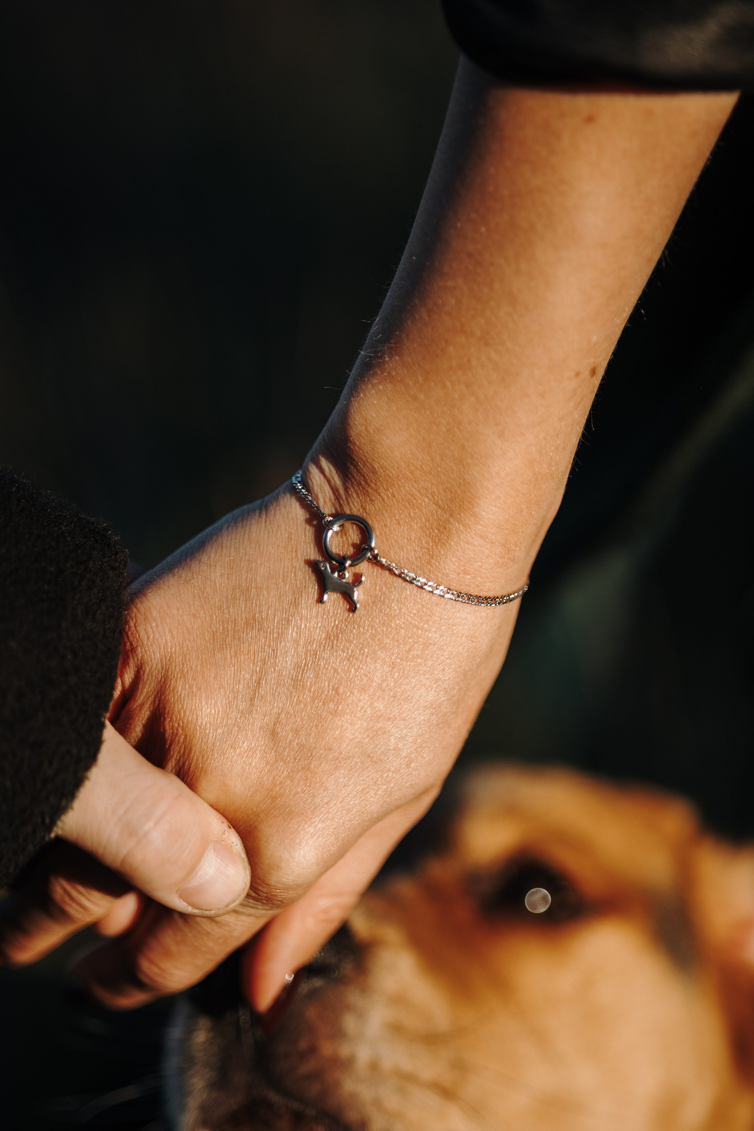 Оуджи и его семья. Фотограф — Анималист | Санкт-Петербург