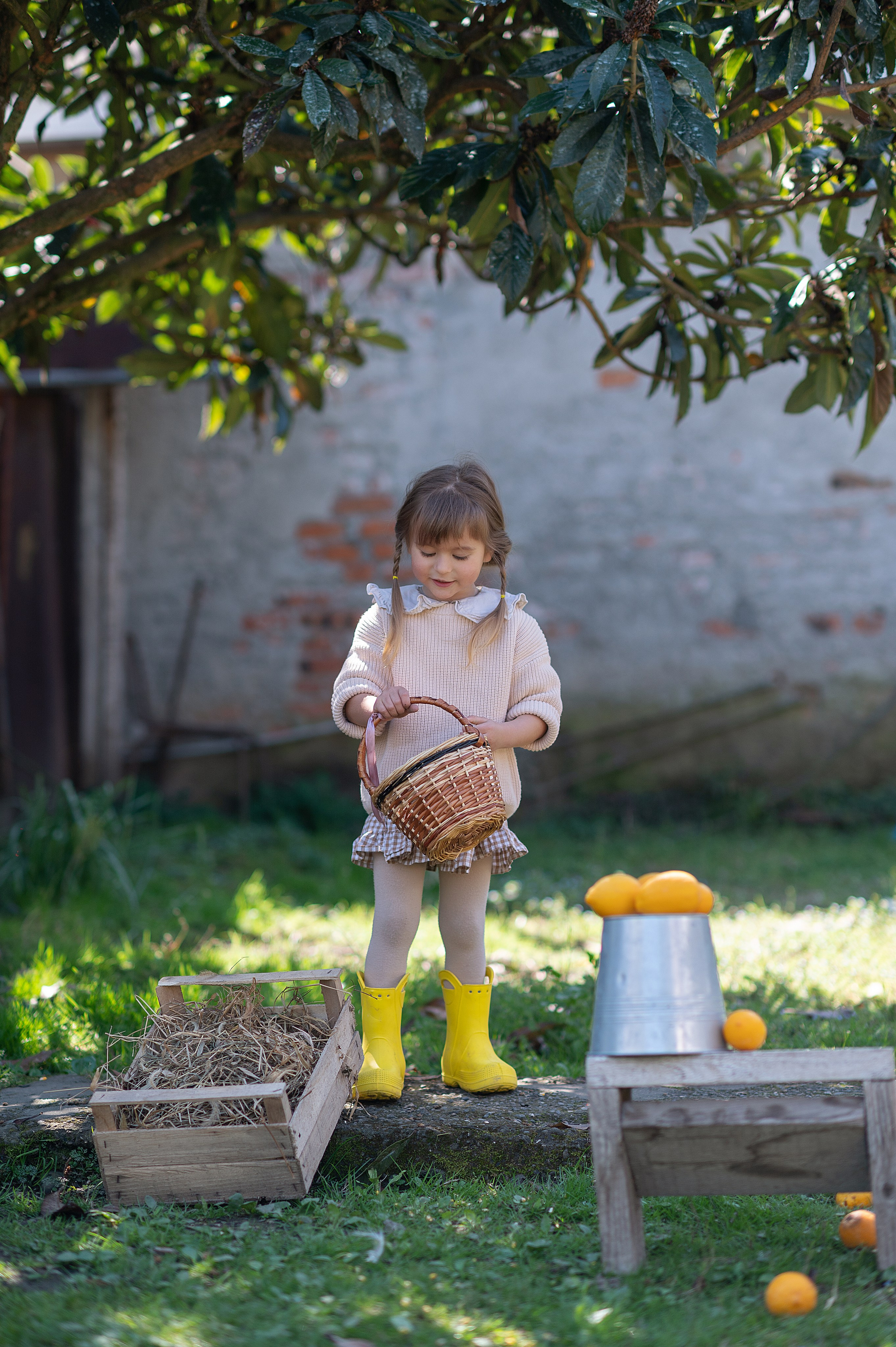 Курочки. Детский фотограф Абхазия