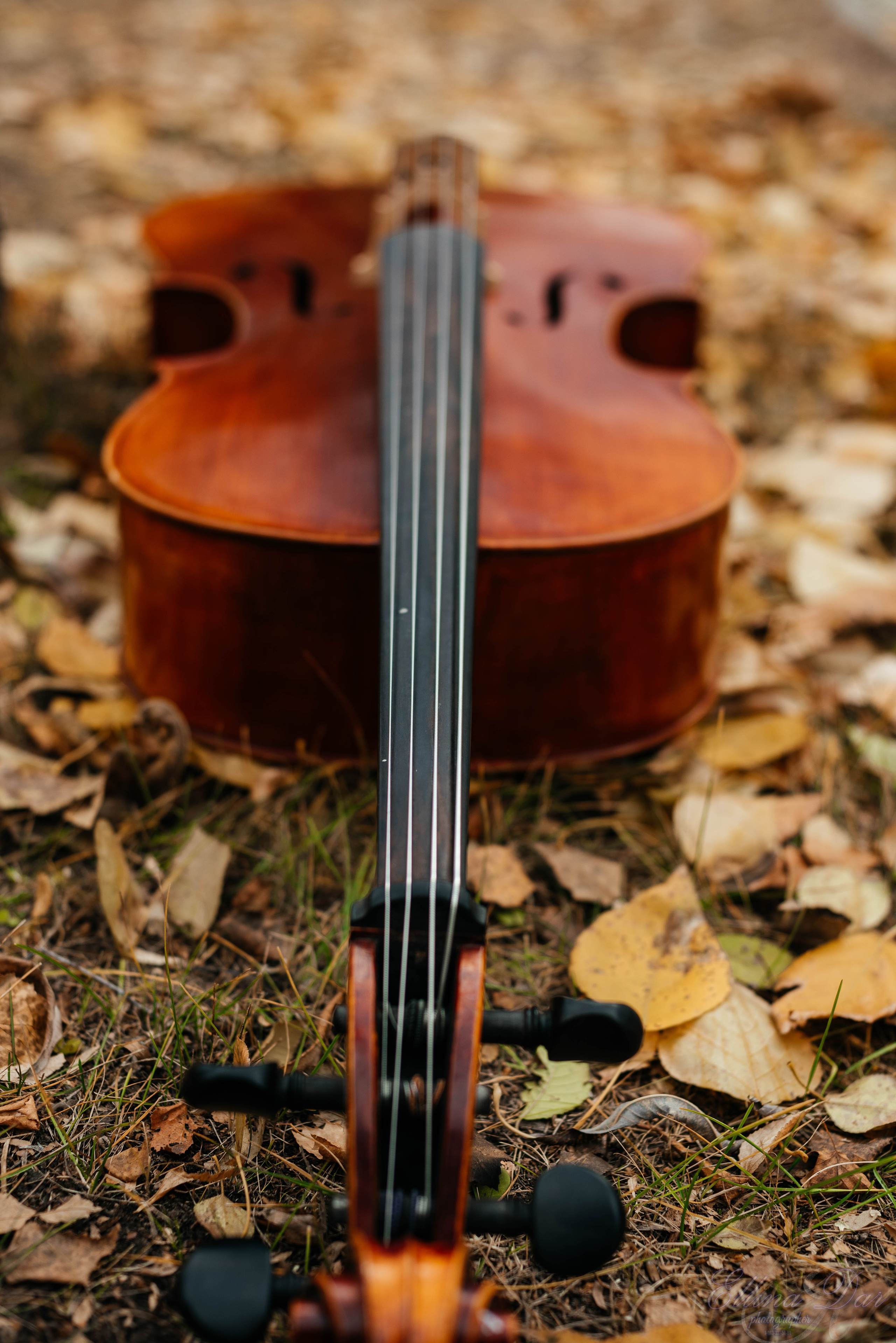 Аюмишка. Фотограф Эллина Дар г. Улан-Удэ