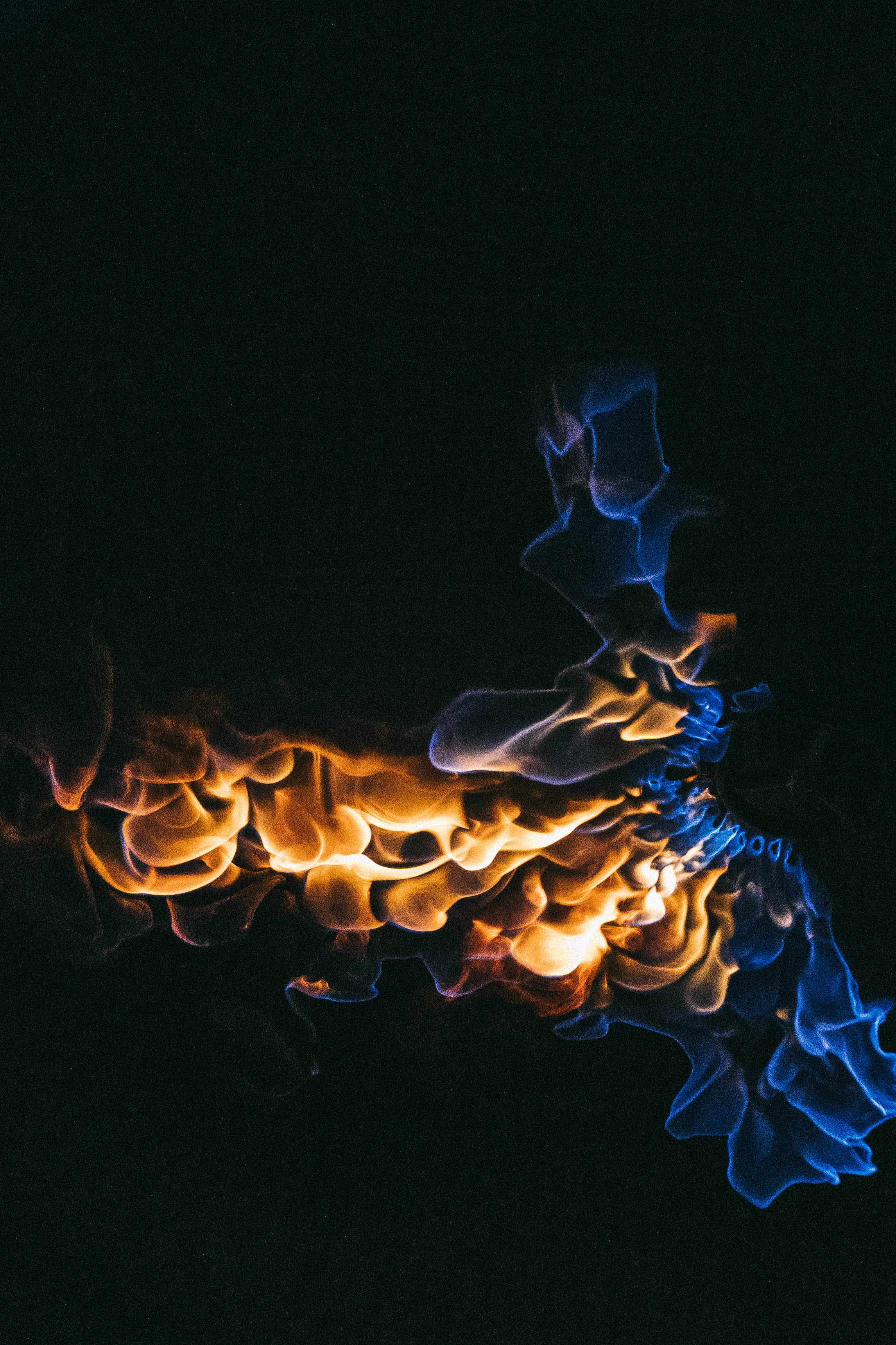 Integrity night. Свадебный и семейный фотограф в Краснодар, Россия