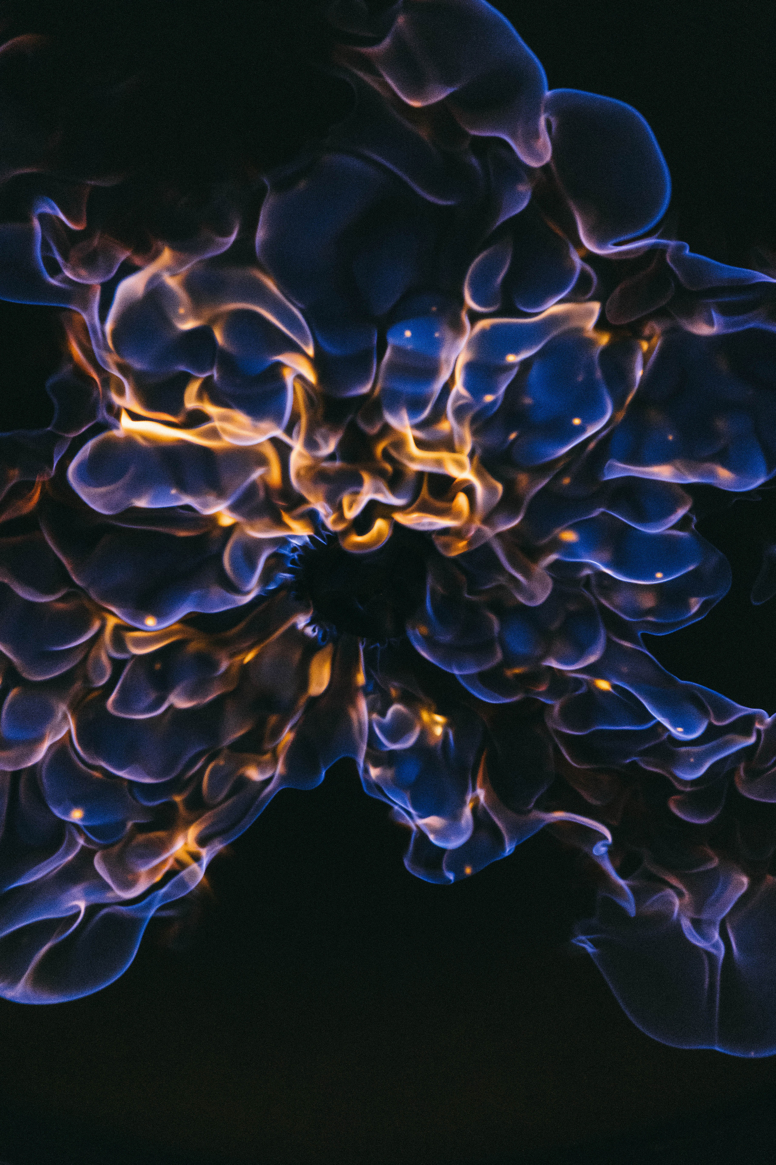 Integrity night. Свадебный и семейный фотограф в Краснодар, Россия