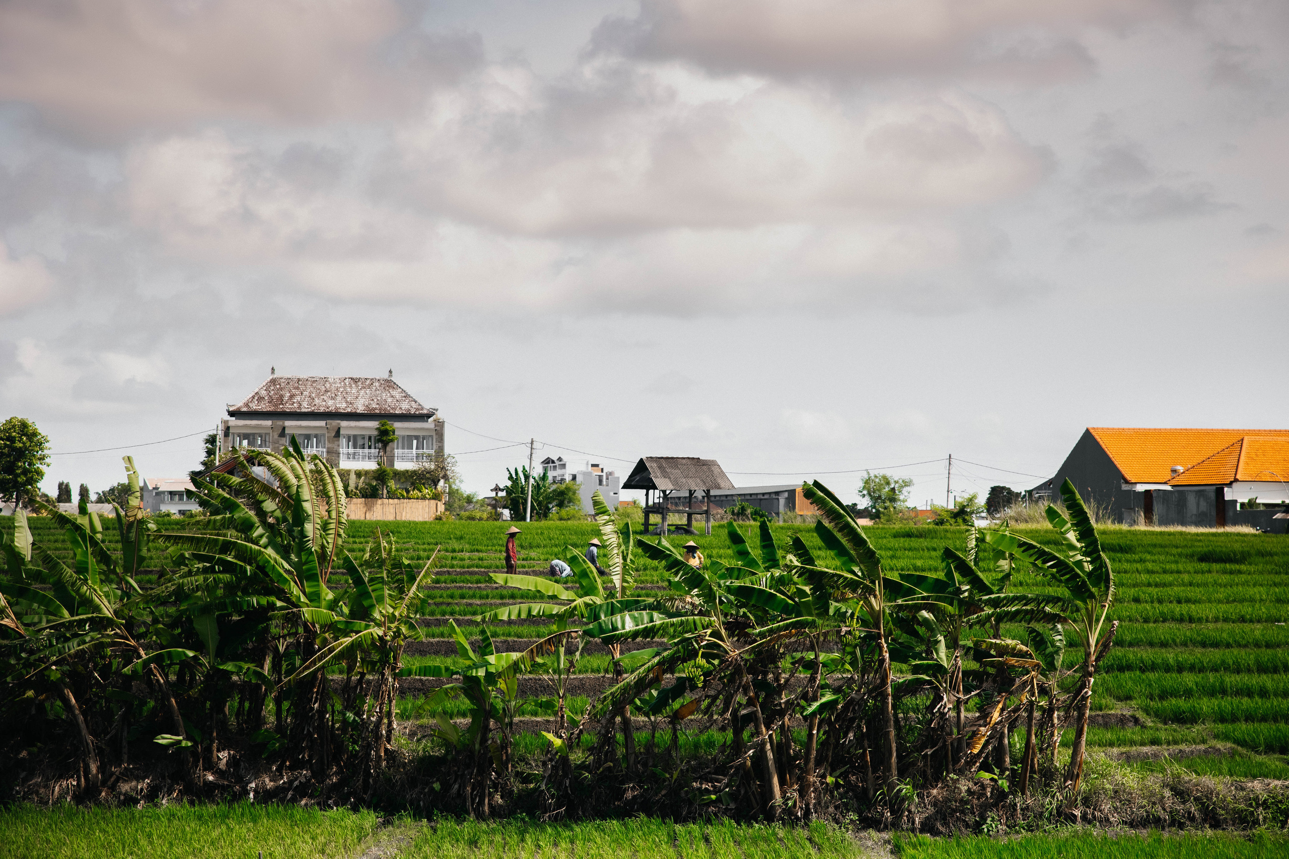 Вероника. Свадебный и семейный фотограф в Краснодар, Россия