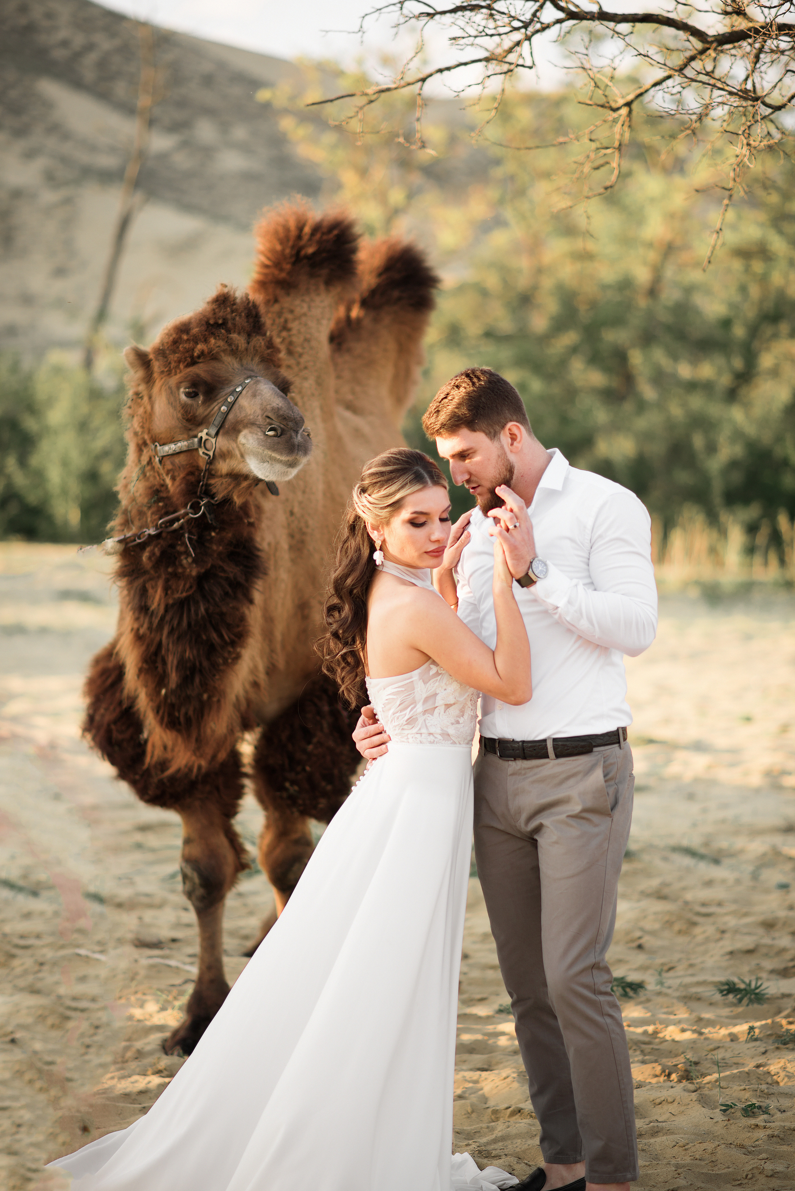 Свадьба с верблюдом. Ваш личный фотограф в Пскове Анаис Рамирез