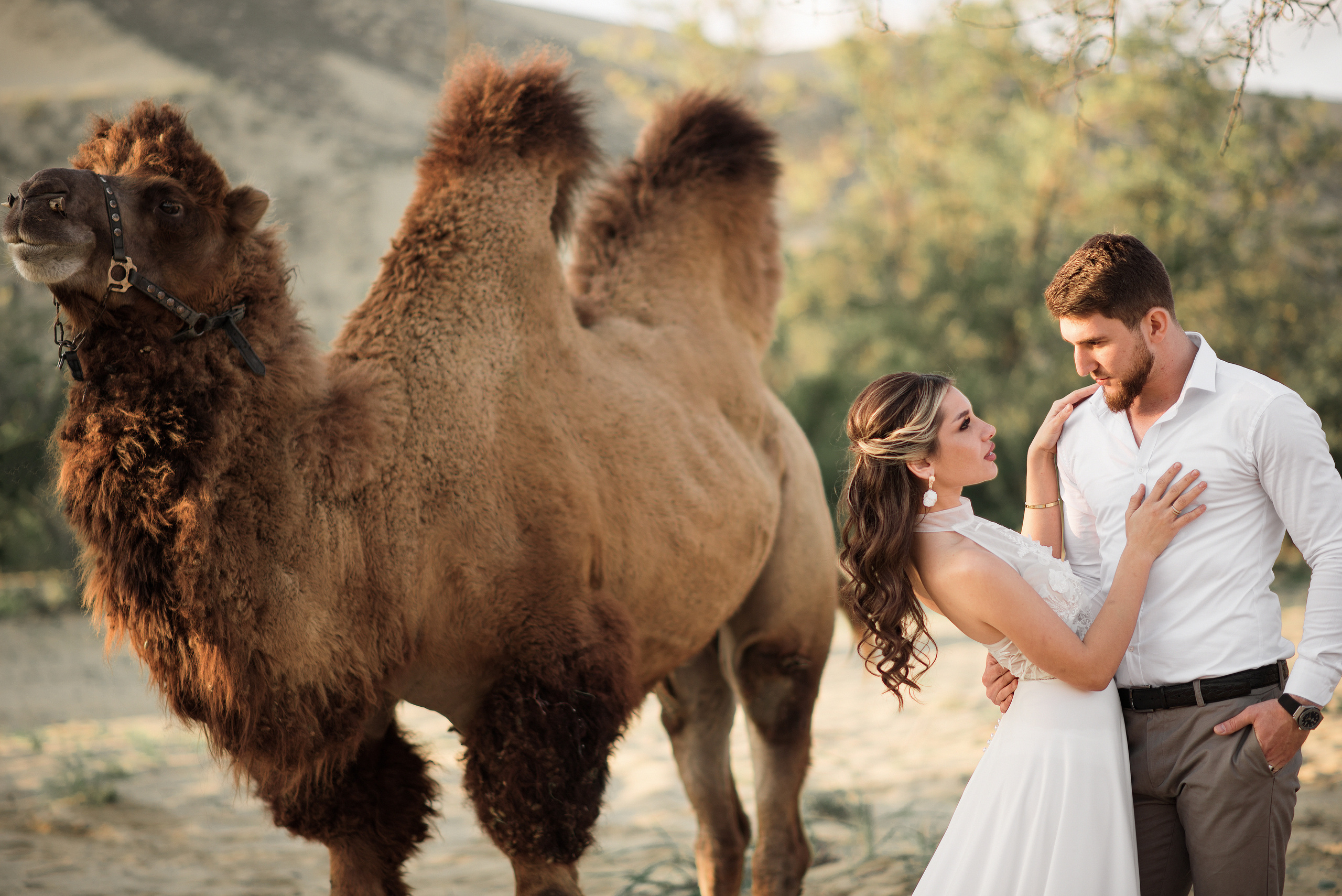 Свадьба с верблюдом. Ваш личный фотограф в Пскове Анаис Рамирез