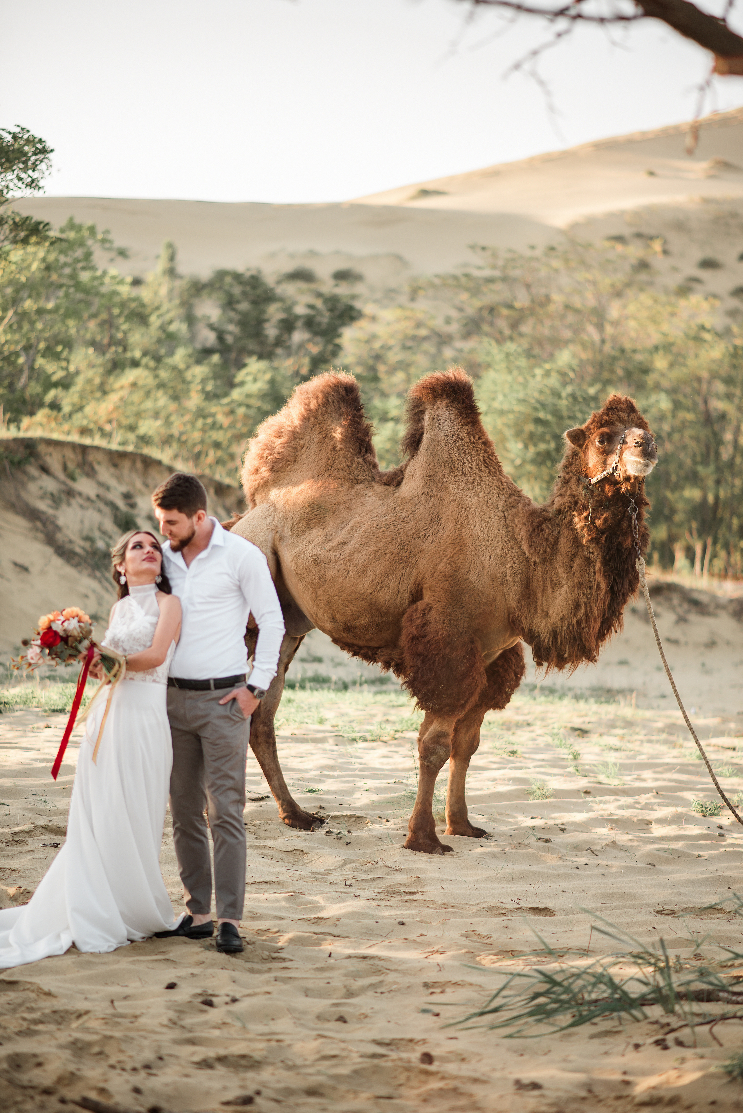 Свадьба с верблюдом. Ваш личный фотограф в Пскове Анаис Рамирез
