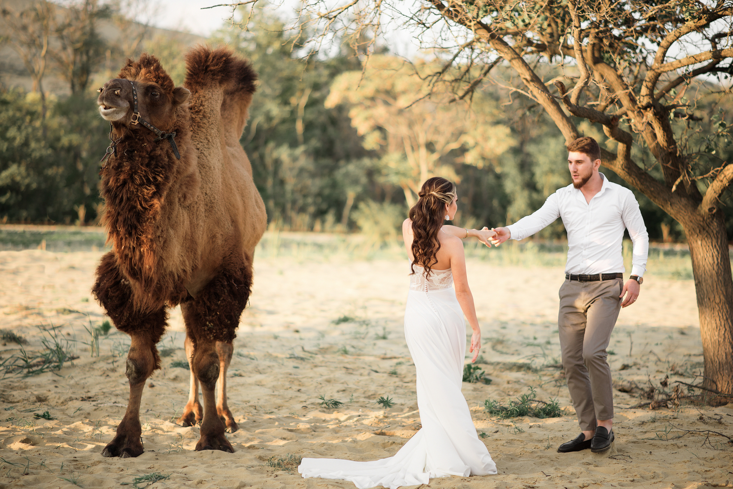 Свадьба с верблюдом. Ваш личный фотограф в Пскове Анаис Рамирез