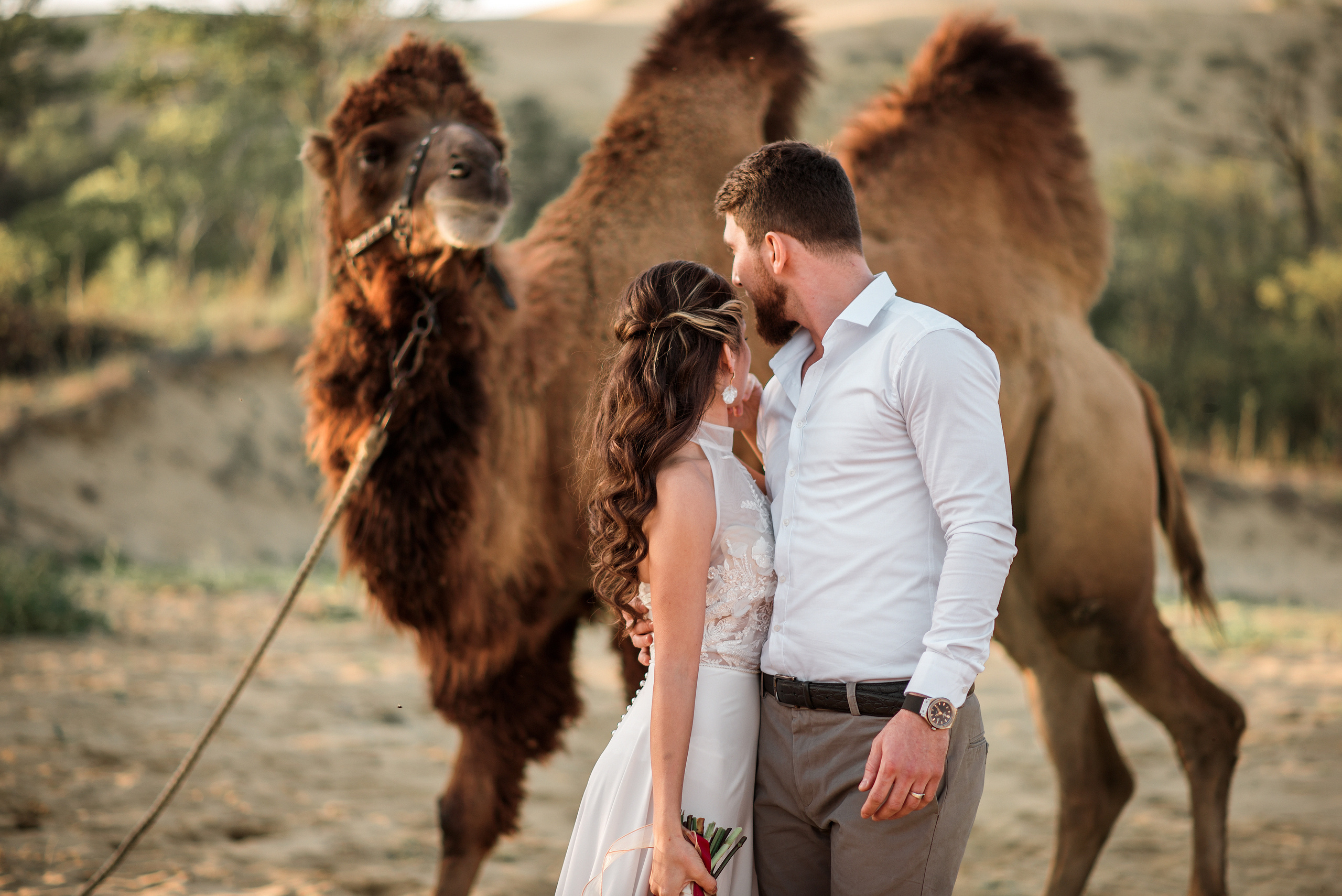 Свадьба с верблюдом. Ваш личный фотограф в Пскове Анаис Рамирез