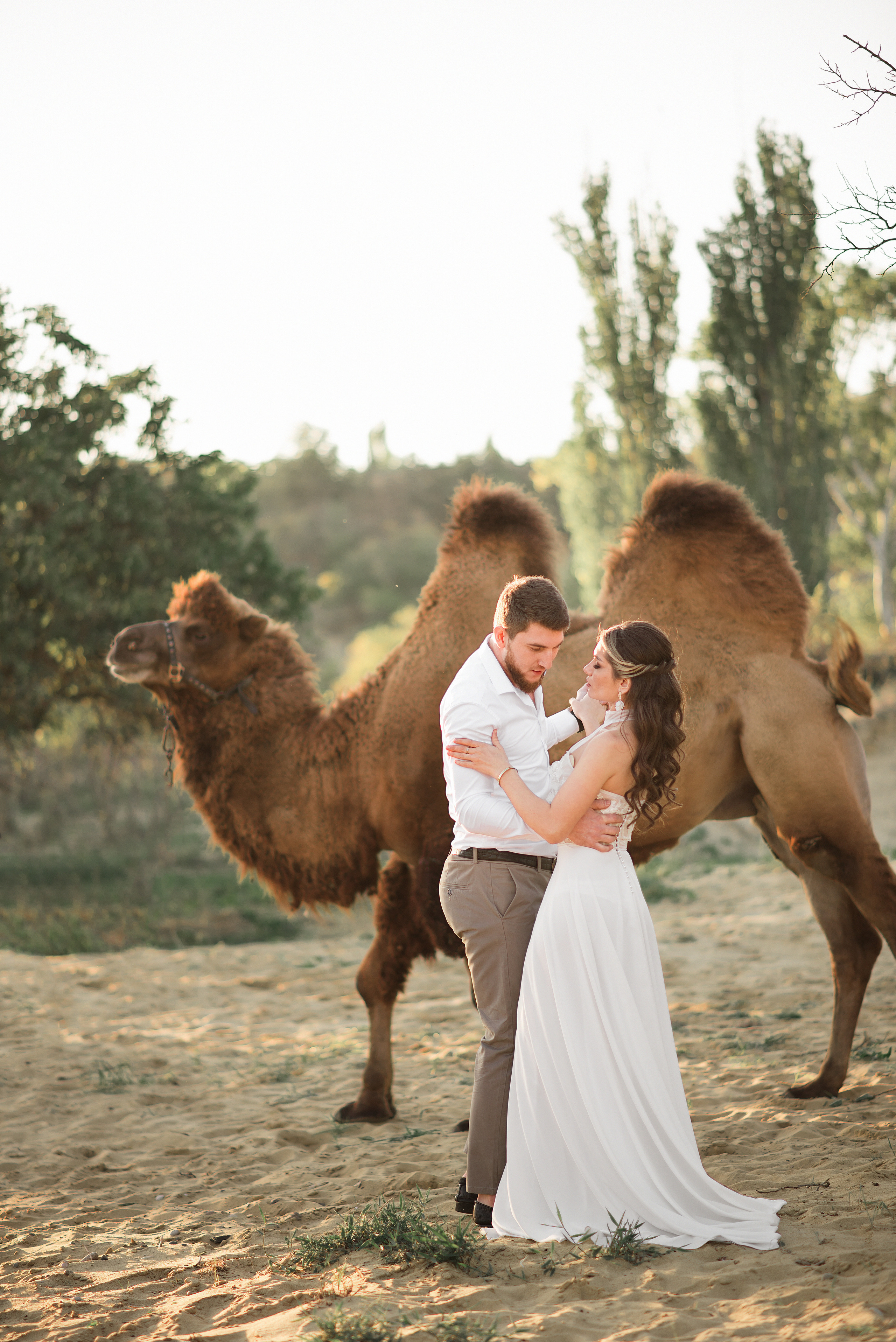 Свадьба с верблюдом. Ваш личный фотограф в Пскове Анаис Рамирез