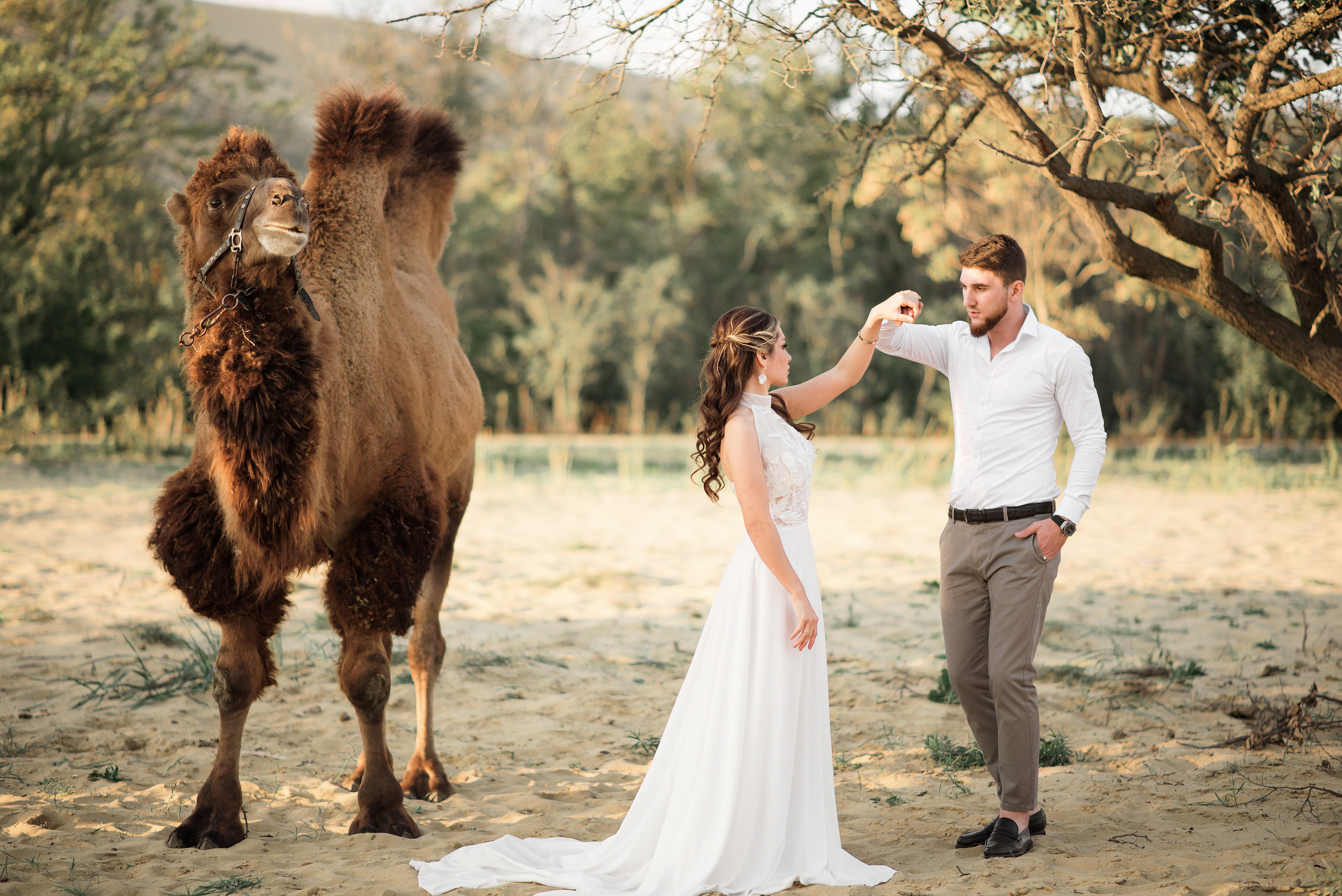 Свадьба с верблюдом. Ваш личный фотограф в Пскове Анаис Рамирез