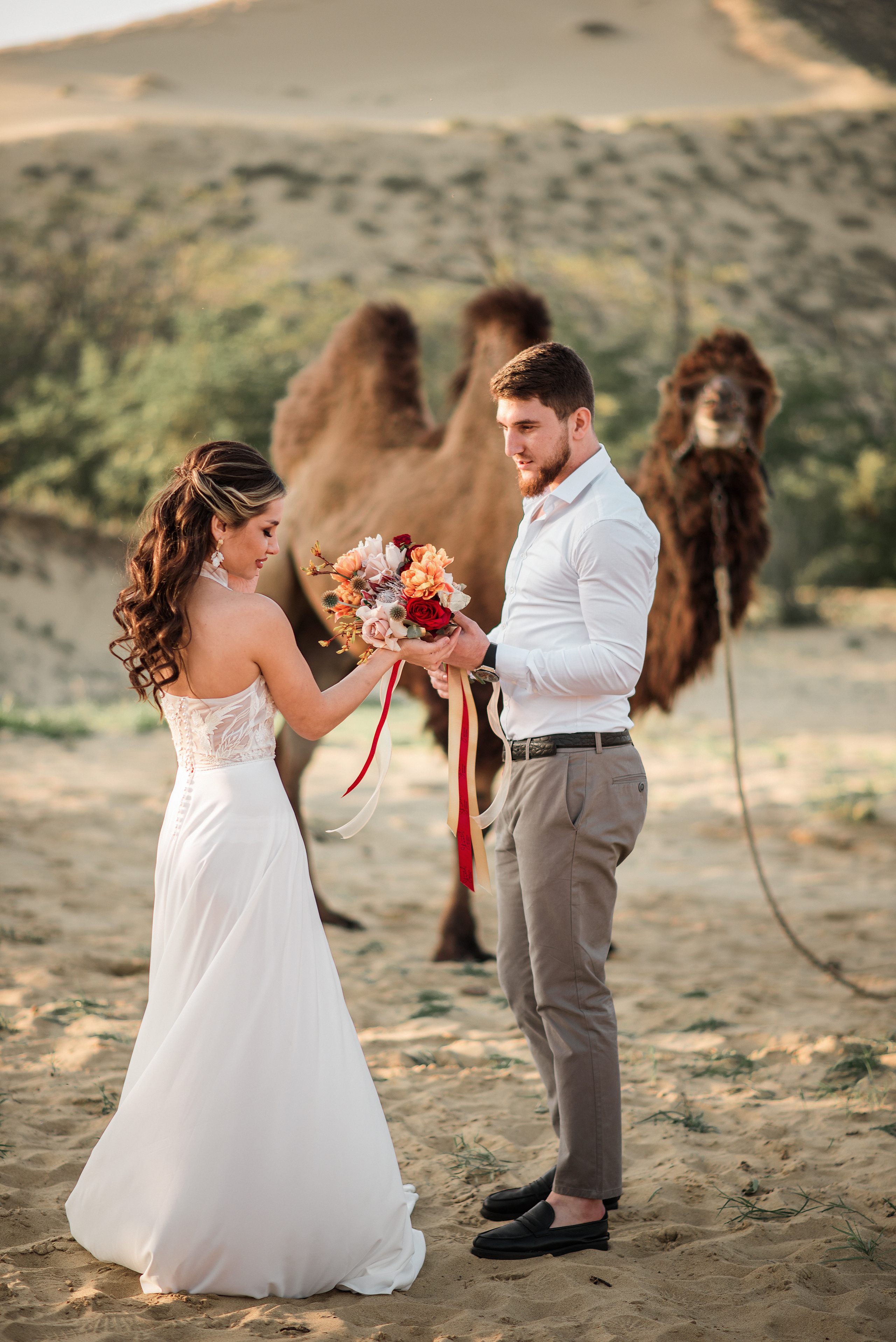 Свадьба с верблюдом. Ваш личный фотограф в Пскове Анаис Рамирез