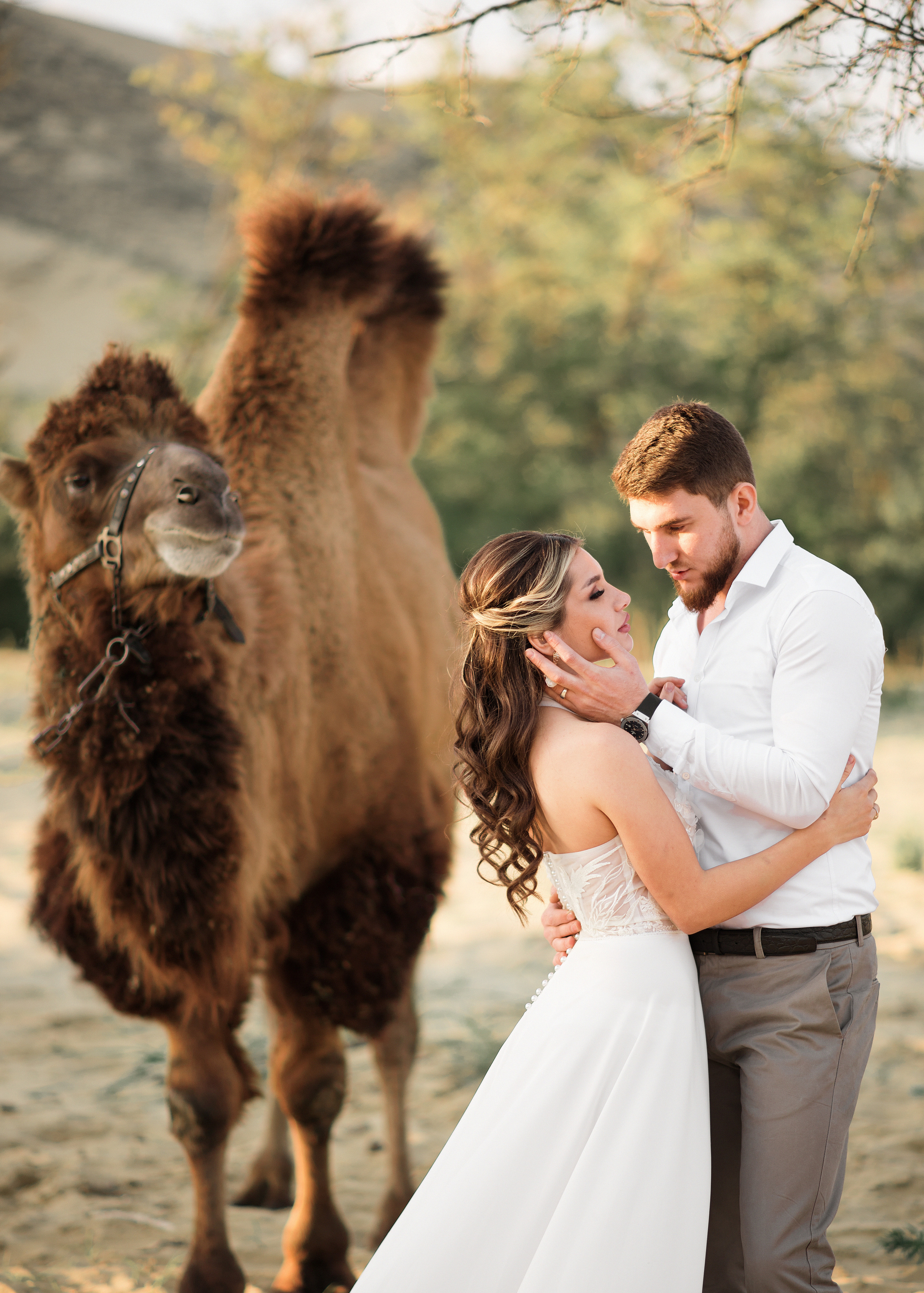 Свадьба с верблюдом. Ваш личный фотограф в Пскове Анаис Рамирез