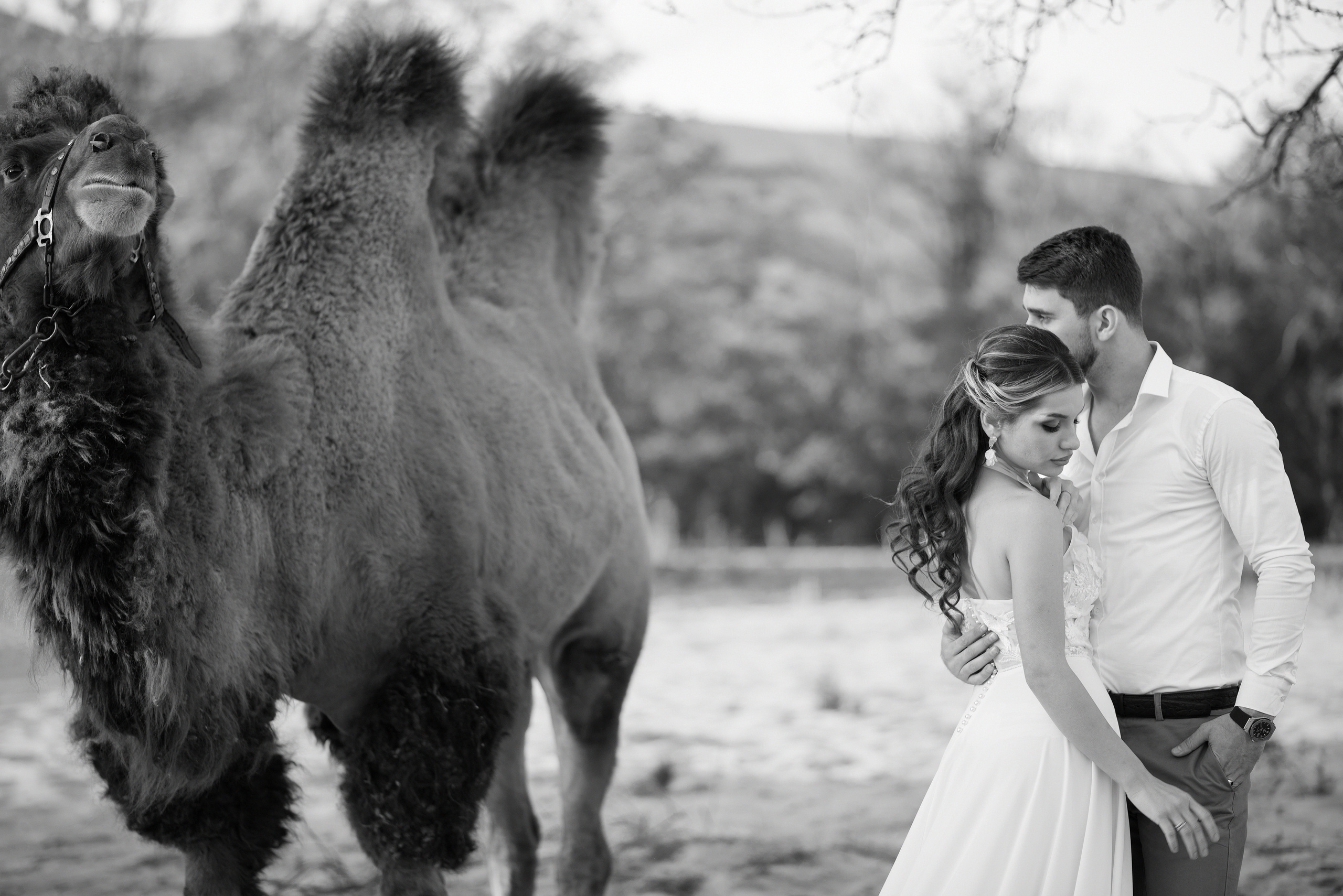 Свадьба с верблюдом. Ваш личный фотограф в Пскове Анаис Рамирез