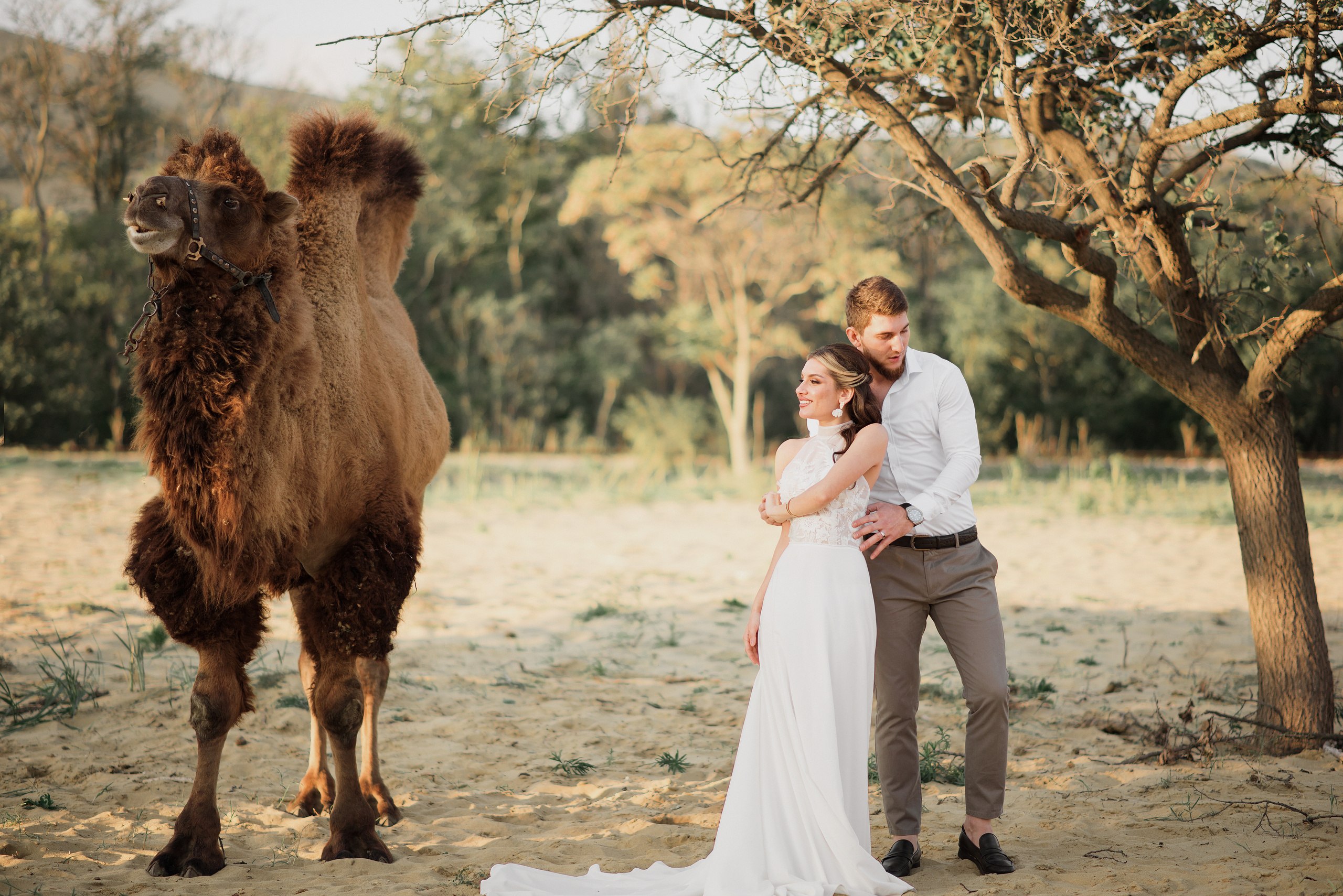 Свадьба с верблюдом. Ваш личный фотограф в Пскове Анаис Рамирез
