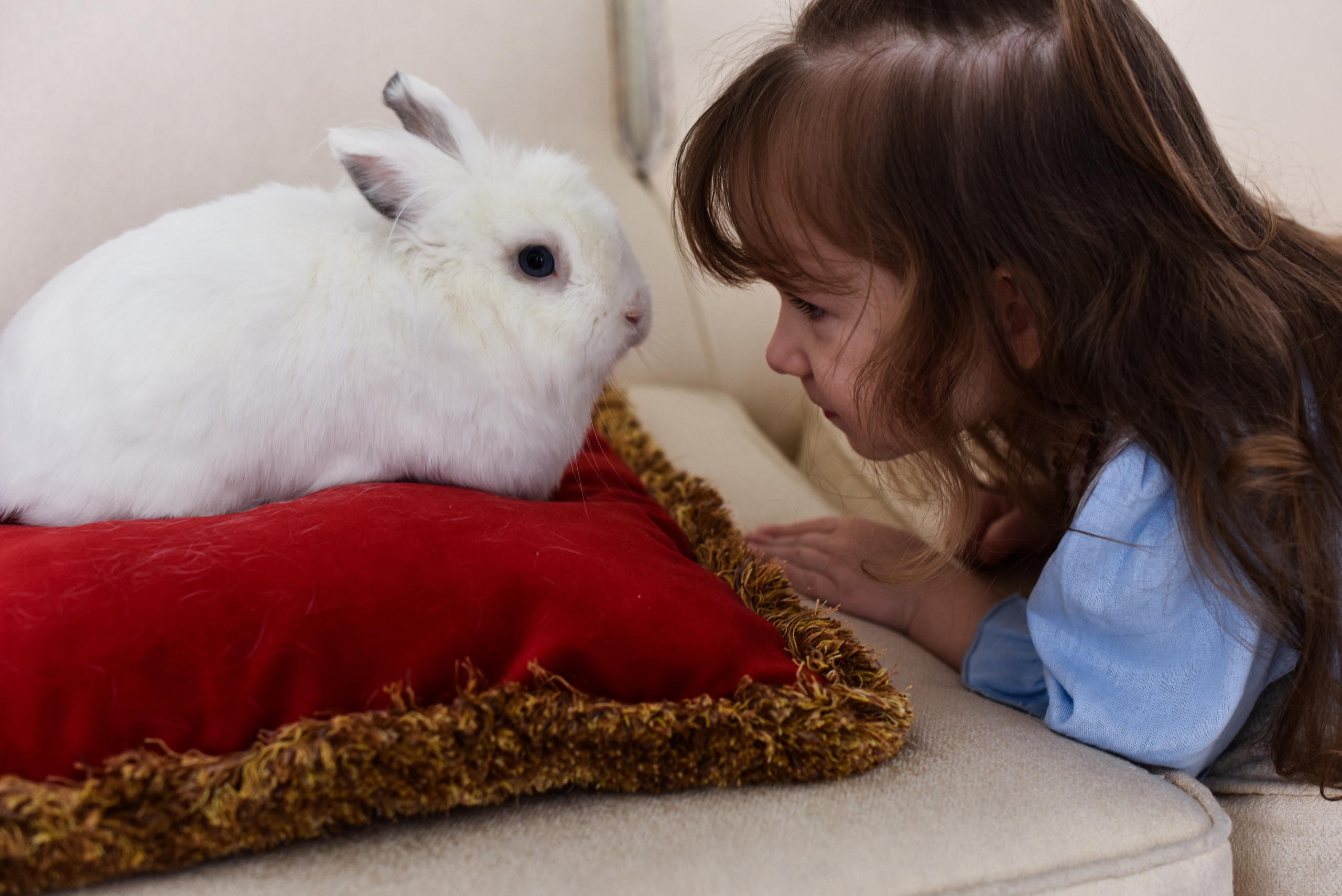 Кристина и Ульяна. Свадебный и семейный фотограф в Москве и МО (Фрязино, Королёв, Коломна) Макеева Алёна
