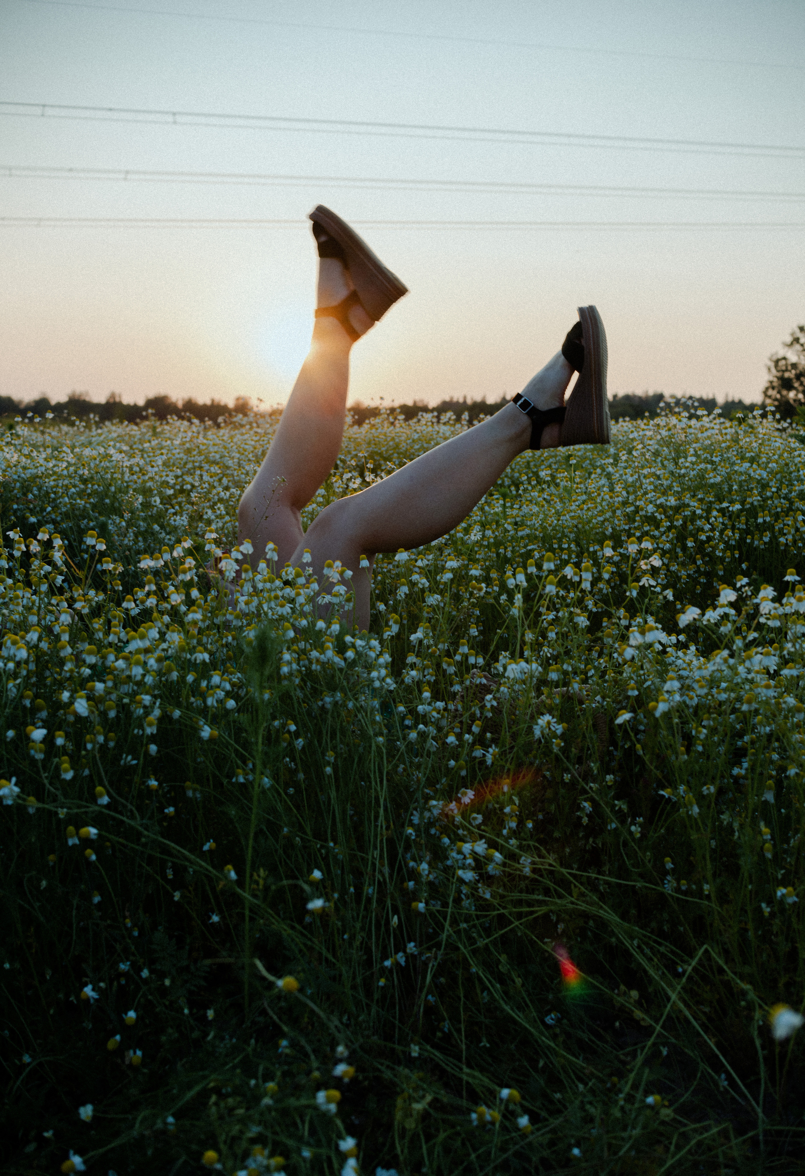 Анастасия в ромашках. Женский фотограф в Москве и МО