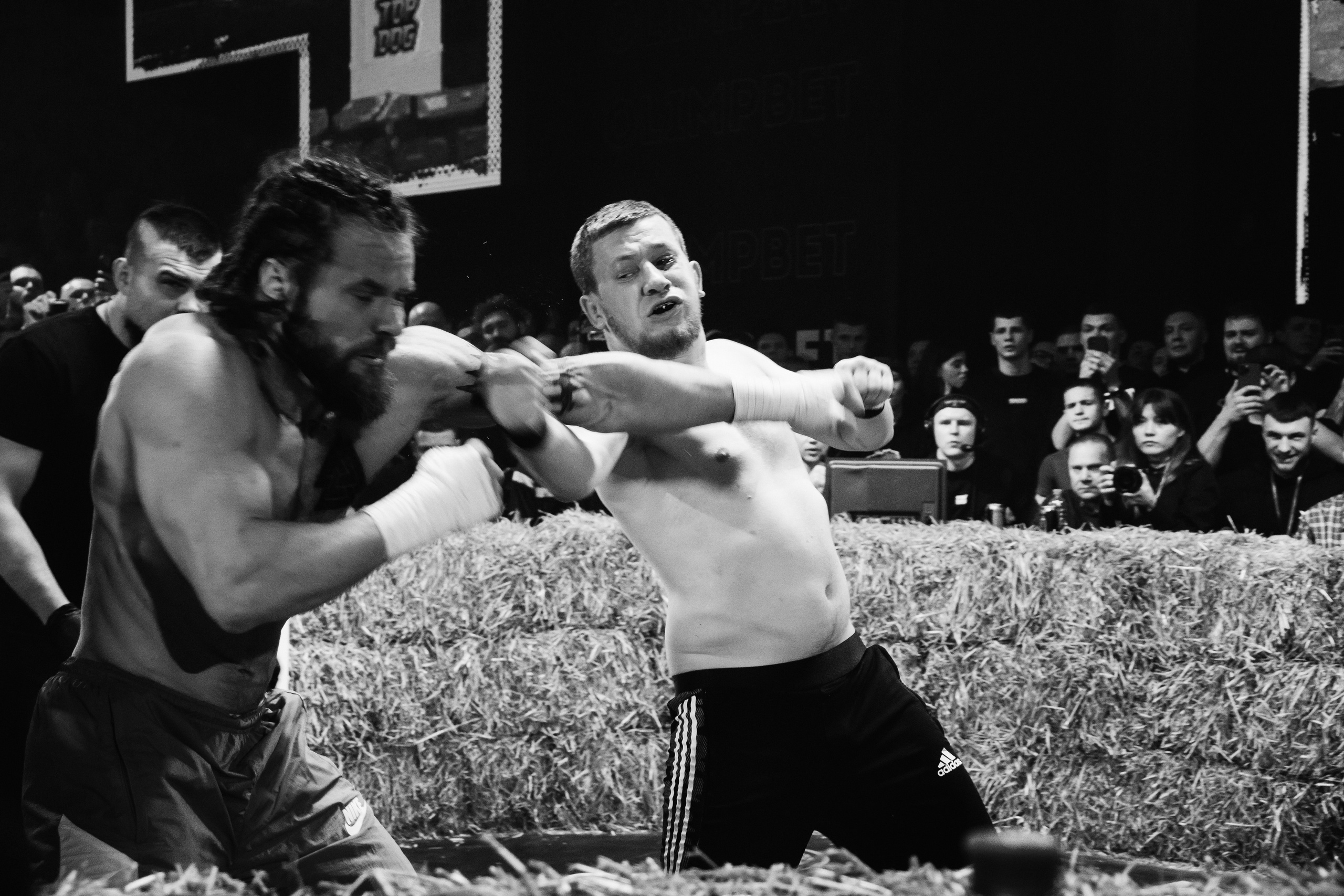 Кулачные бои TopDog. Анастасия Тен