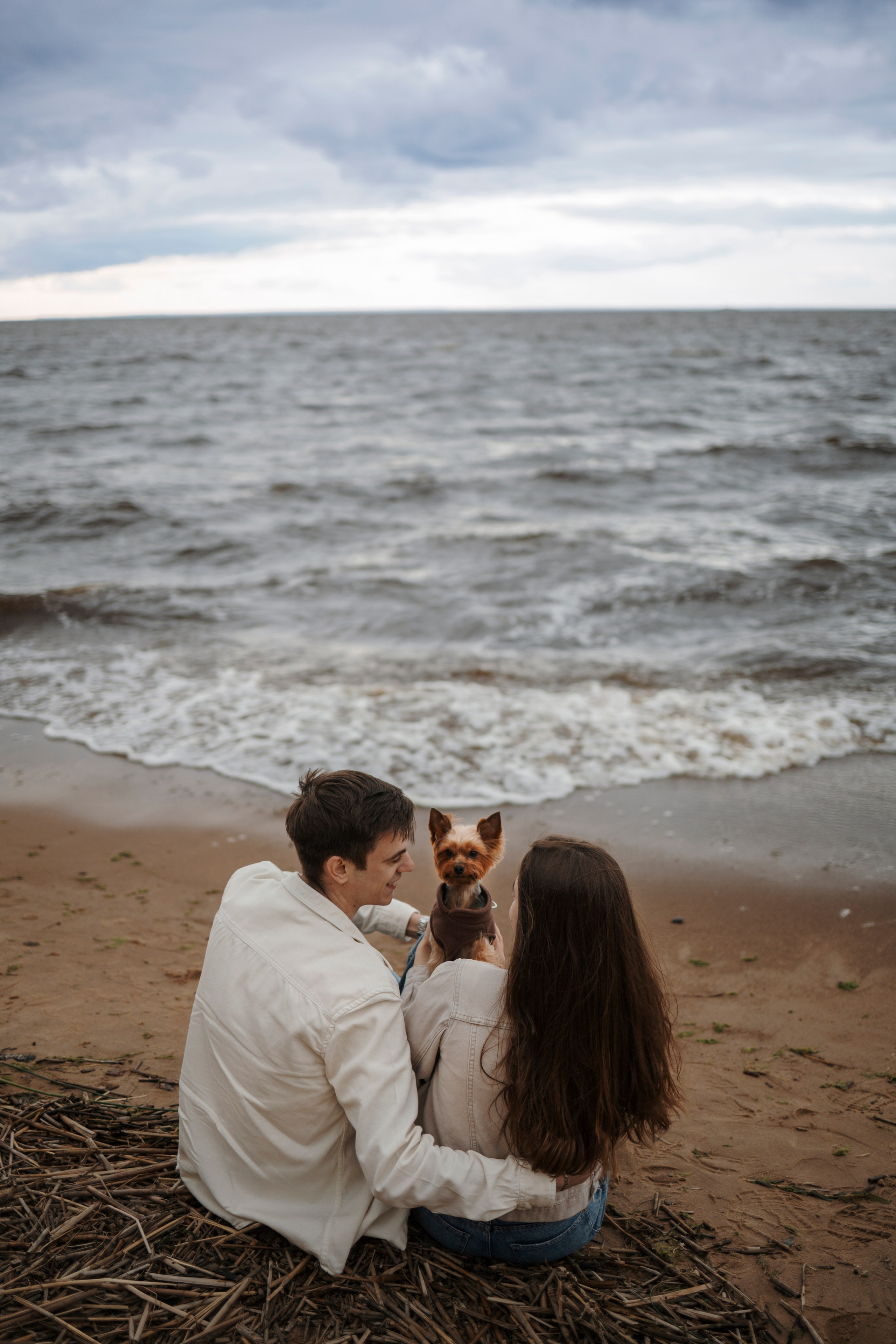 День из жизни Чуи и его семьи. Фотограф-анималист в Санкт-Петеребурге Титова Алиса