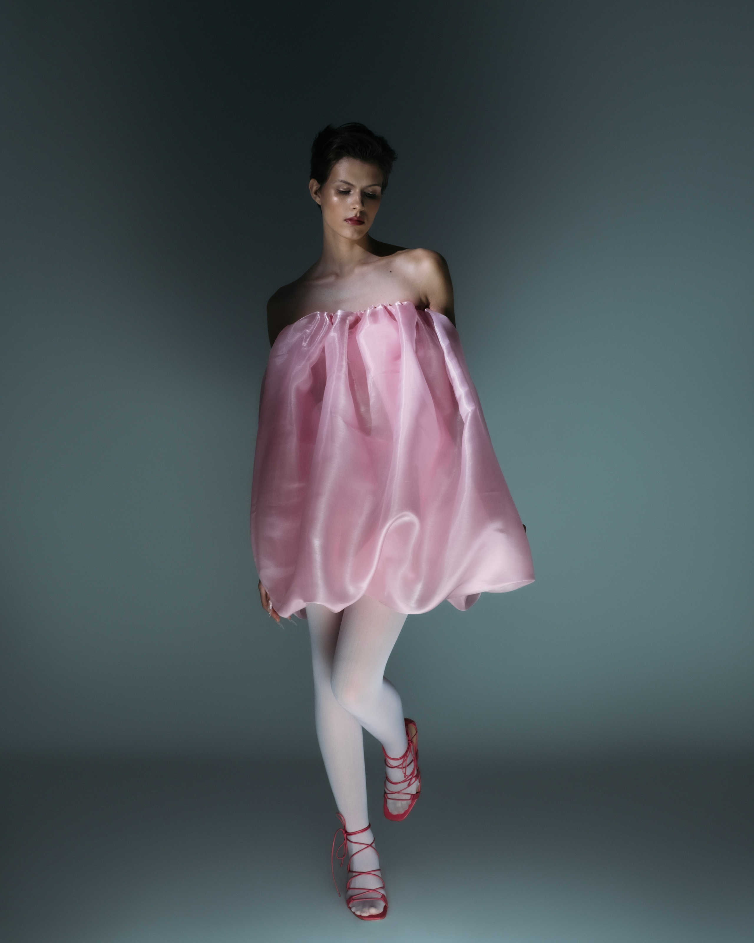 Viola. Алина Сушенцева фотограф