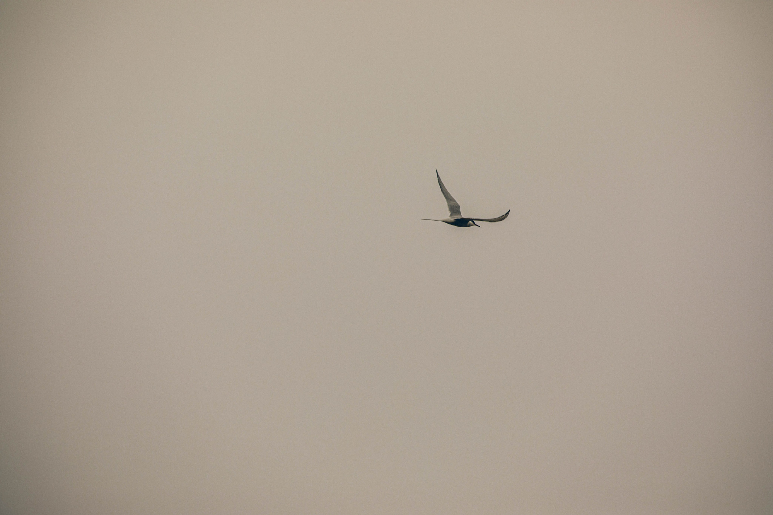 Кольский полуостров. Фотографирую для себя, своей семьи и друзей!