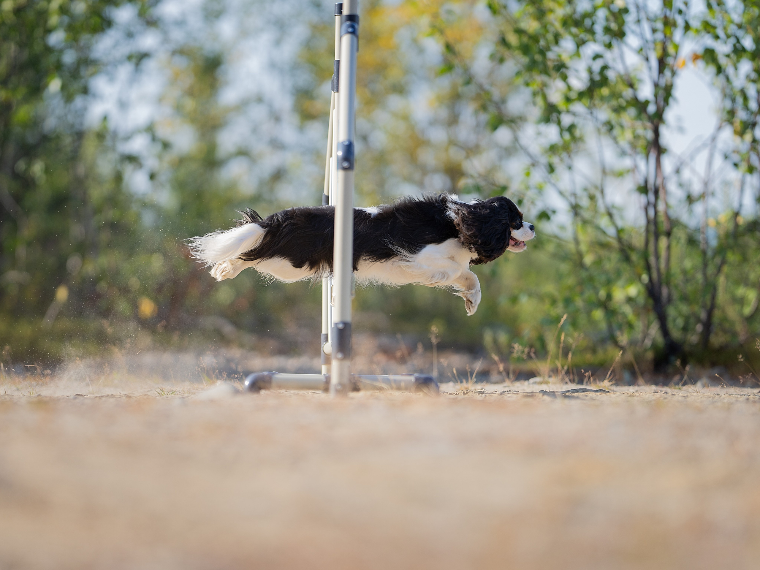 ККЧС Луна. Главная