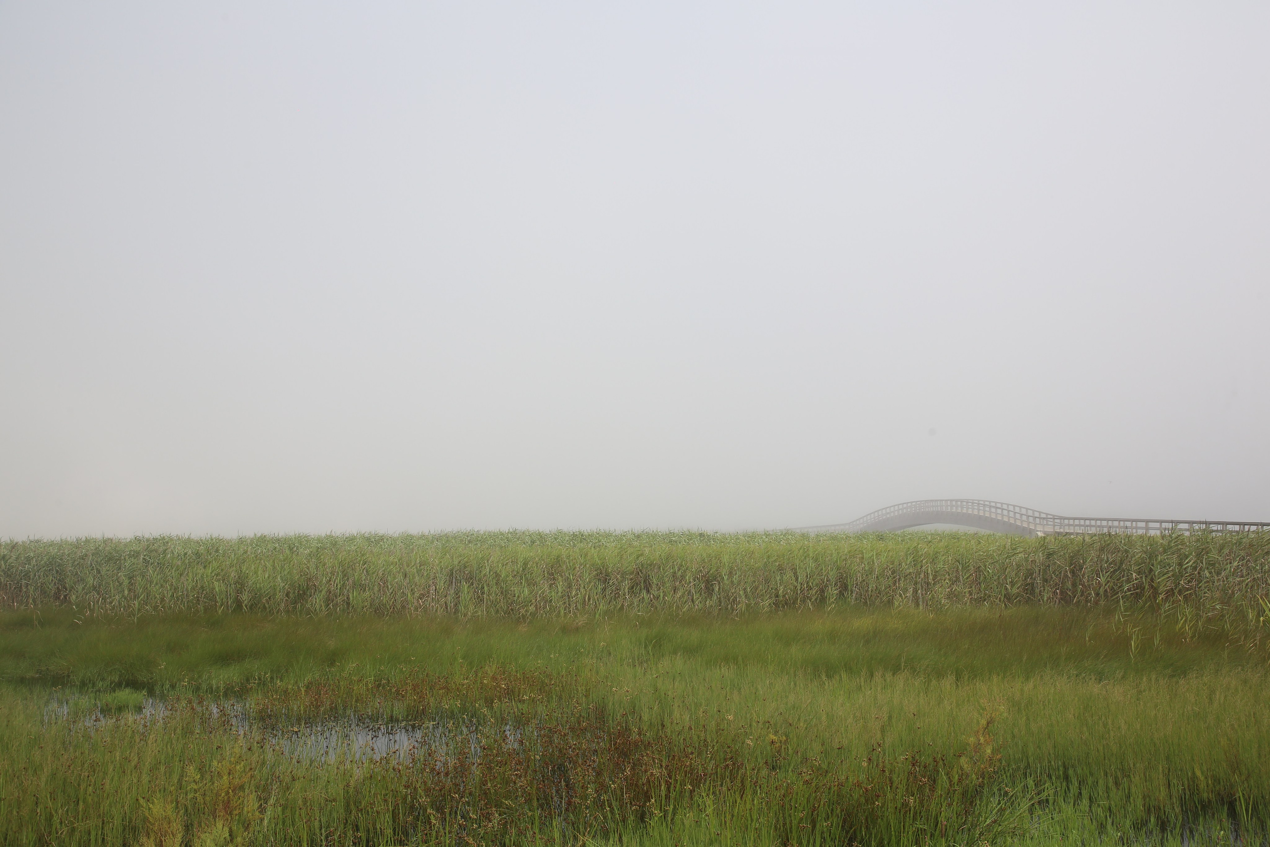 Esmoriz, Portugal. Andrey Filippov Photographer