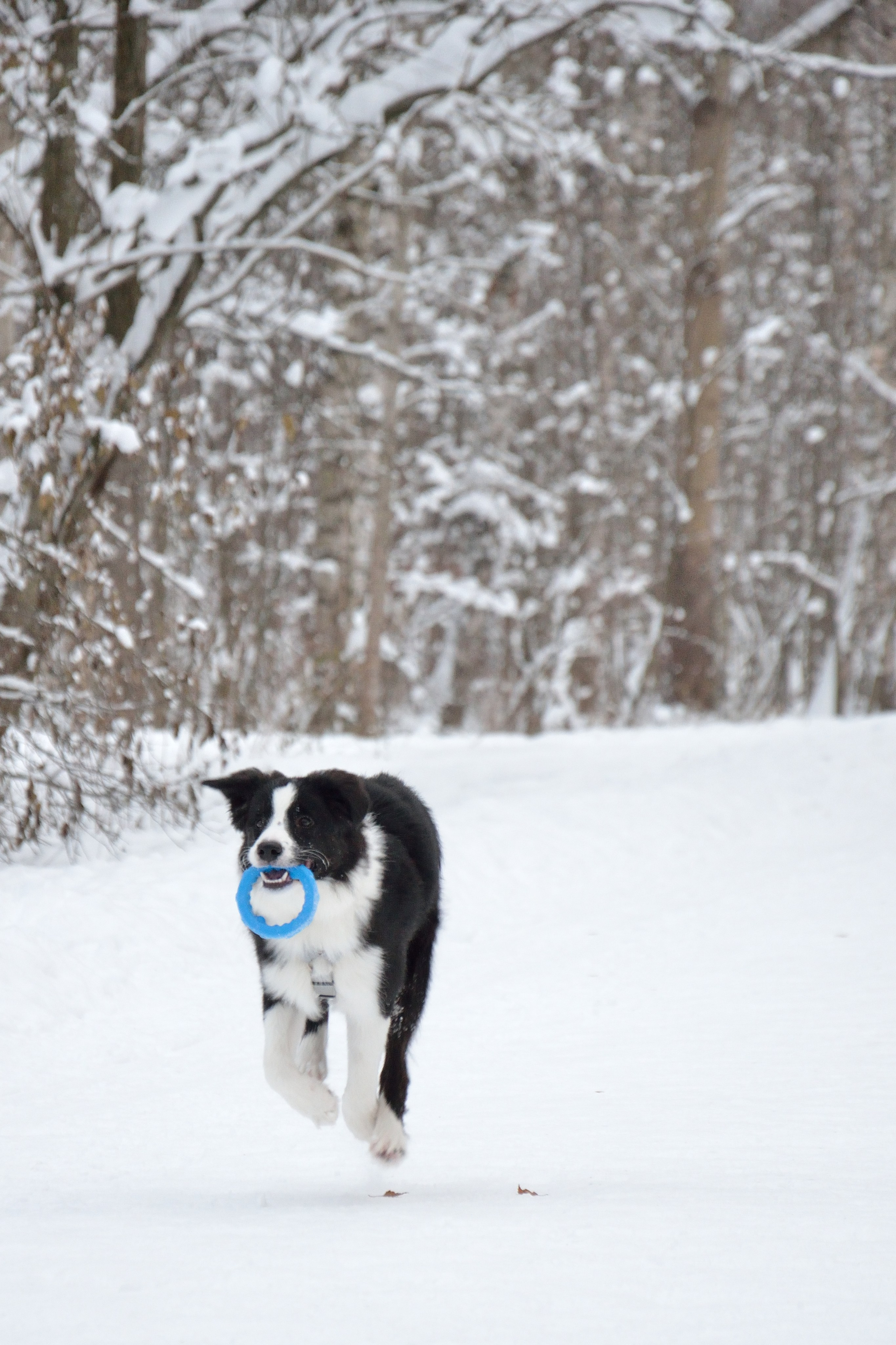 Муня. Добро пожаловать на мой сайт, меня зовут Наталия, я фотограф