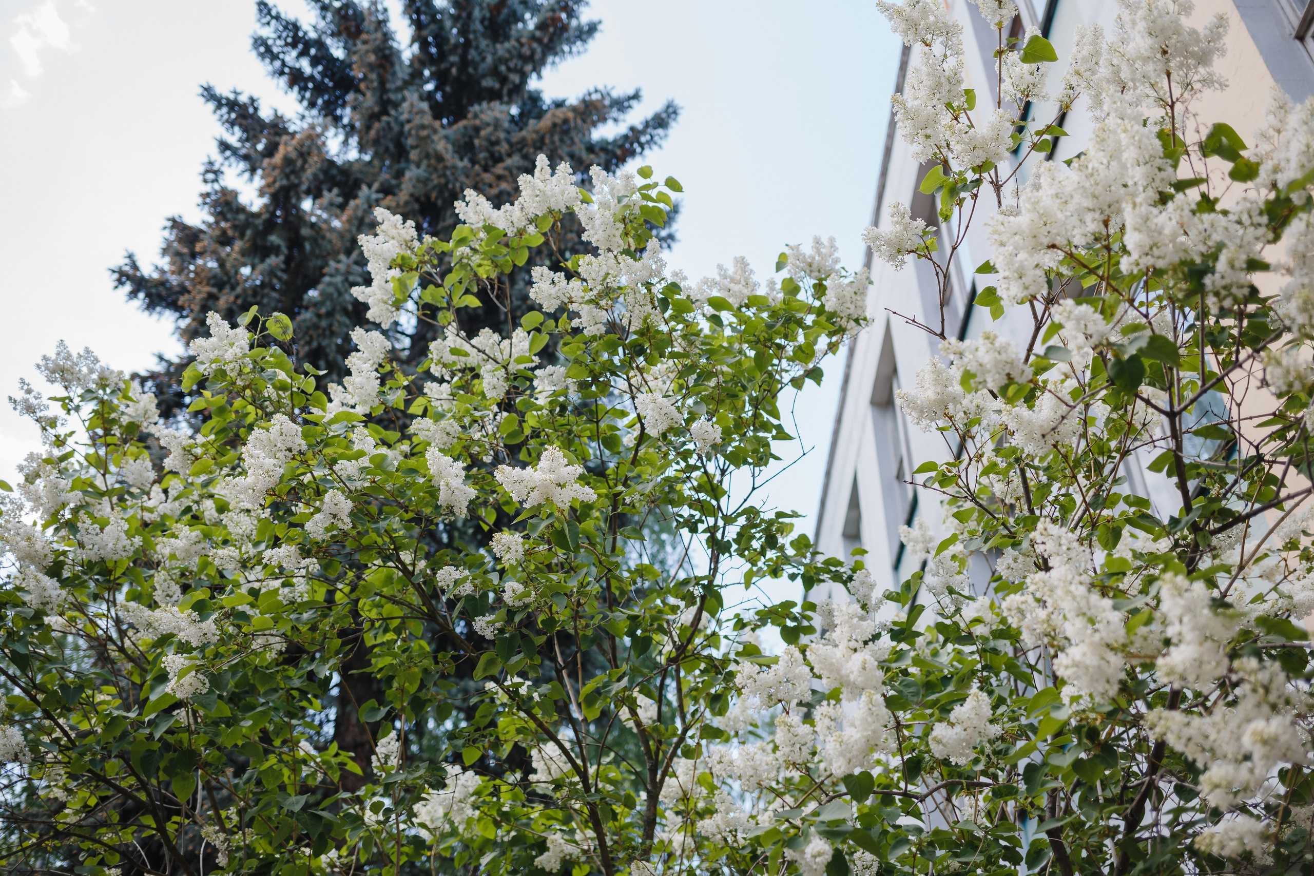 Ращупкина. Съемка портретов для Виньетки. Семейный фотограф Николаева Ольга