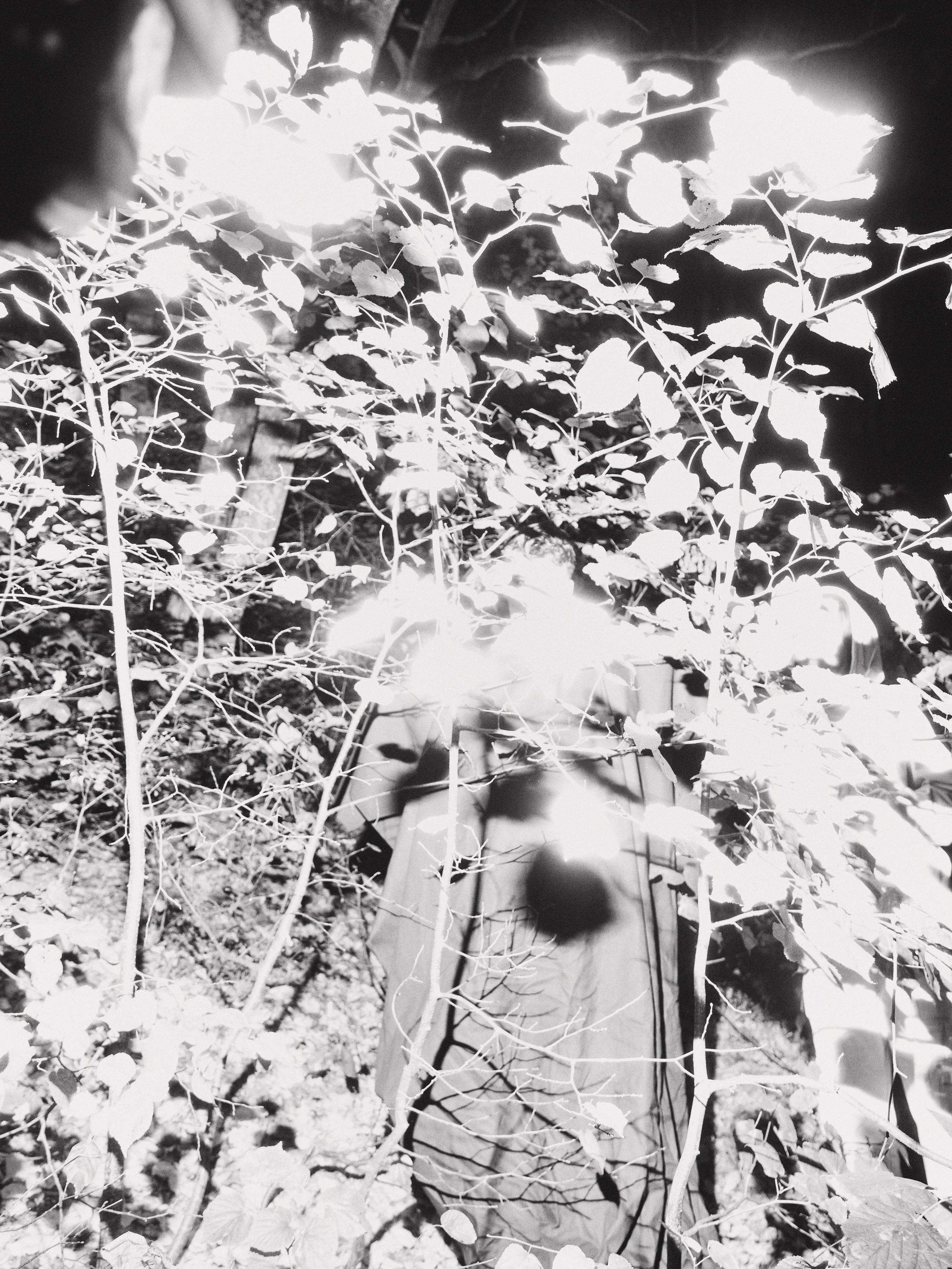 Sni Trava. Сайт фотографа в Саратове